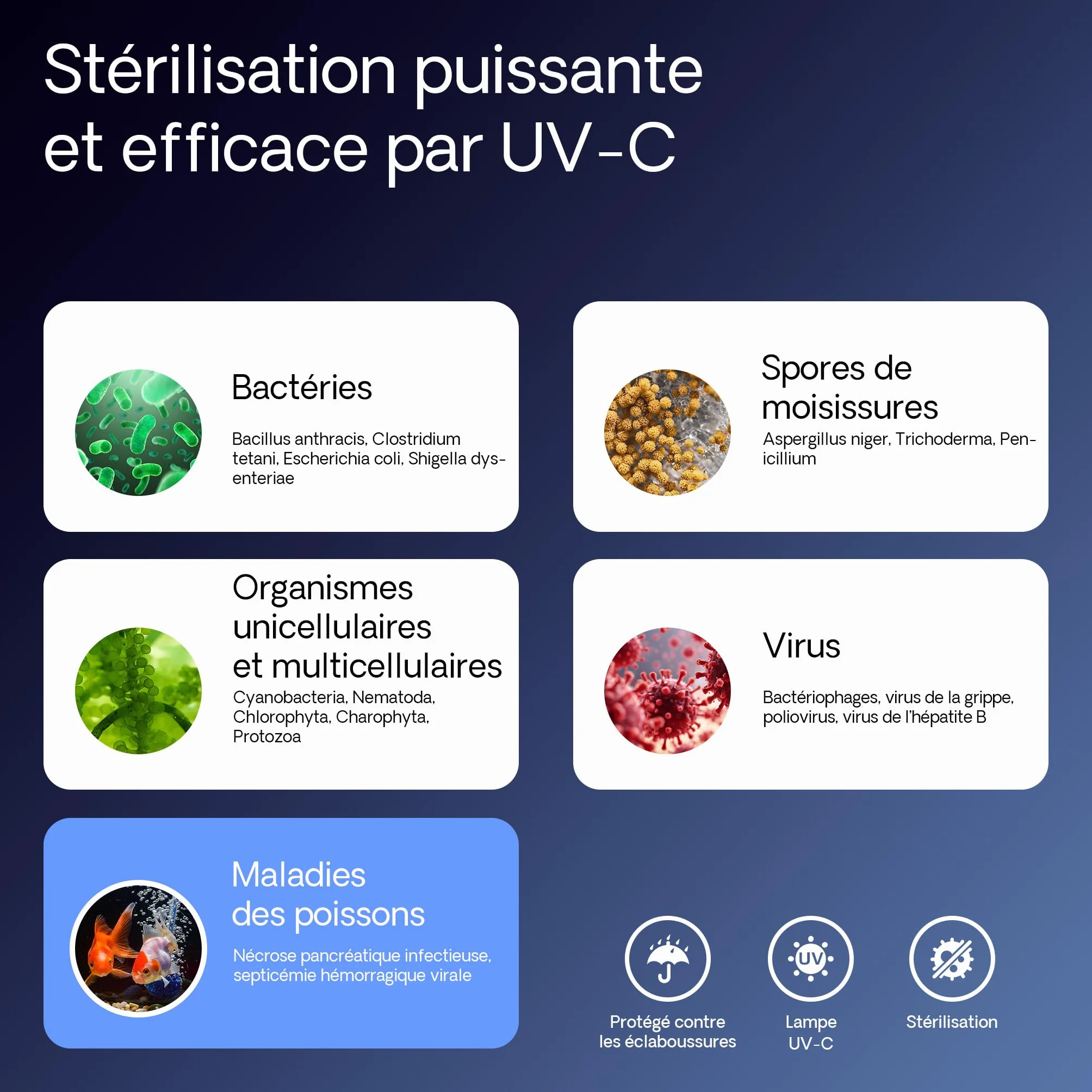 SunSun CUV-236 Stérilisateur Clarificateur UV-C 36 W 6000 l/h pour Bassins Étangs