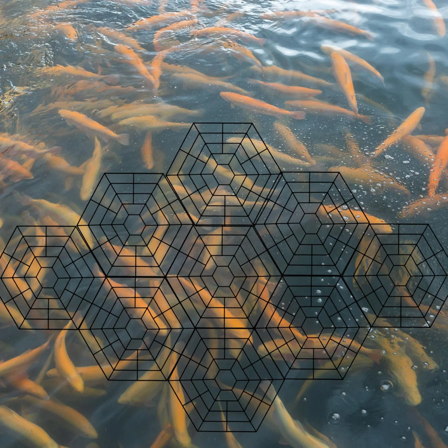 Artibetter Filet Flottant pour Bassin à Poissons Extérieur en Plastique Noir 15 Pièces