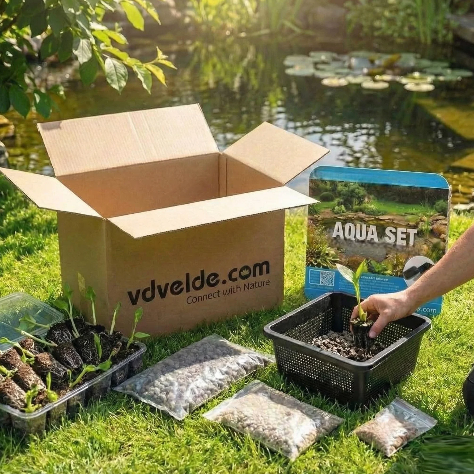 Vdvelde Aqua Set Panier de Plantation Bassin 19x19 cm Lot de 3