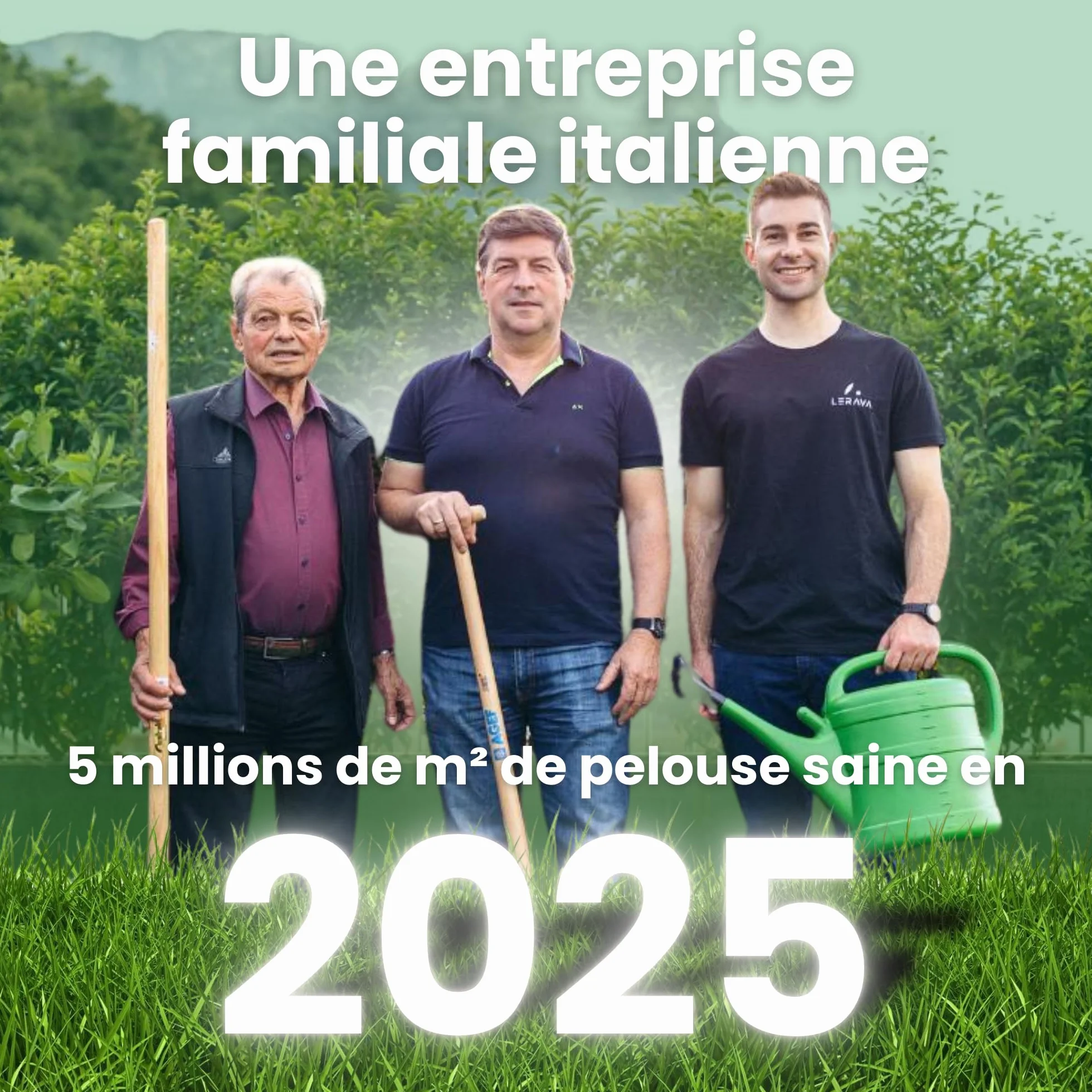 LERAVA® Trèfle blanc 50 m² Fixateur d’azote naturel Couverture strisciante Améliore la fertilité du sol Pour pelouses et jardins