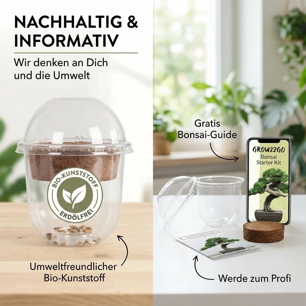 Kit Bonsai GROW2GO avec mini-serre, graines et terre - Pin Australien