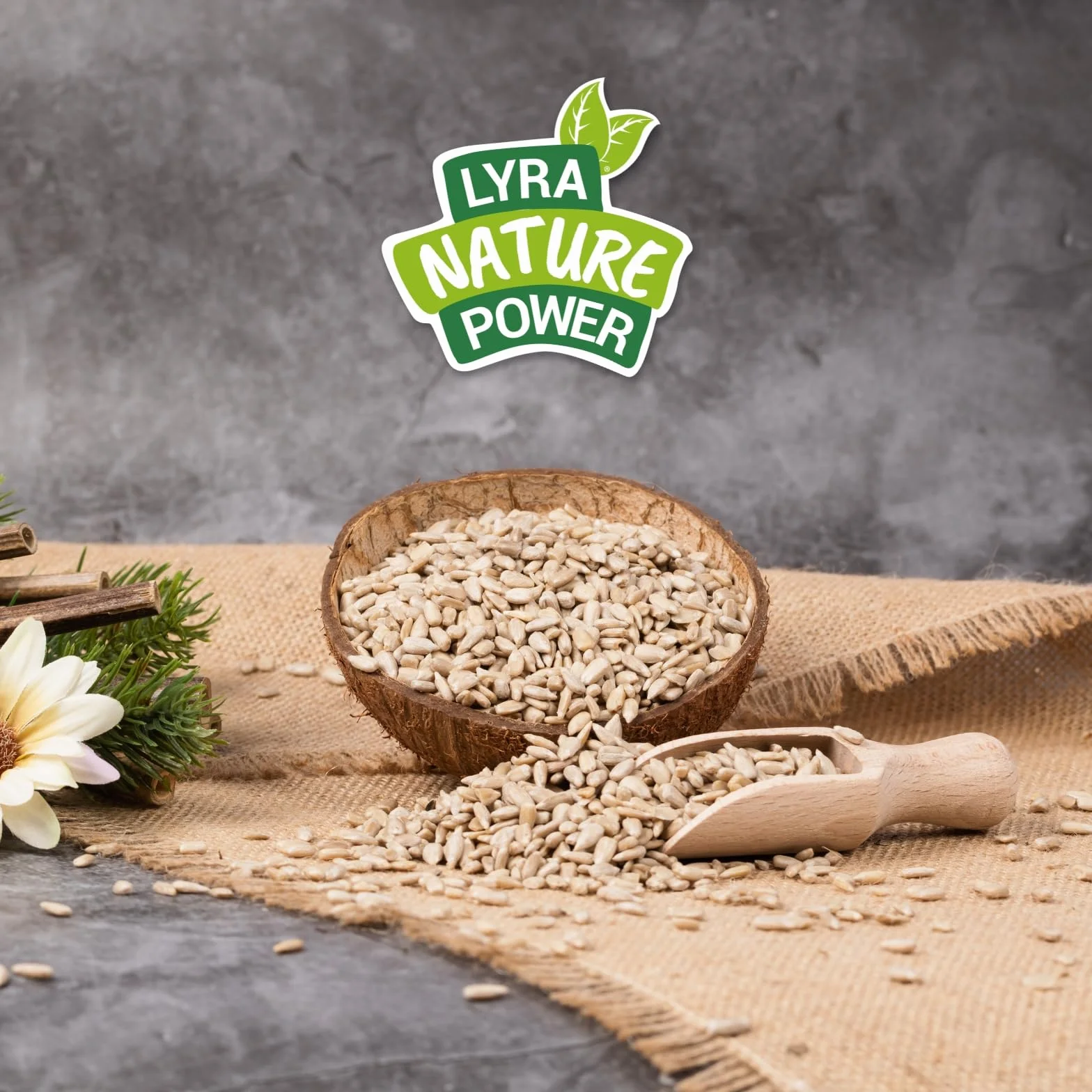 Lyra Pet® Graines de Tournesol Décortiquées 25 kg Nourriture pour Oiseaux Sauvages