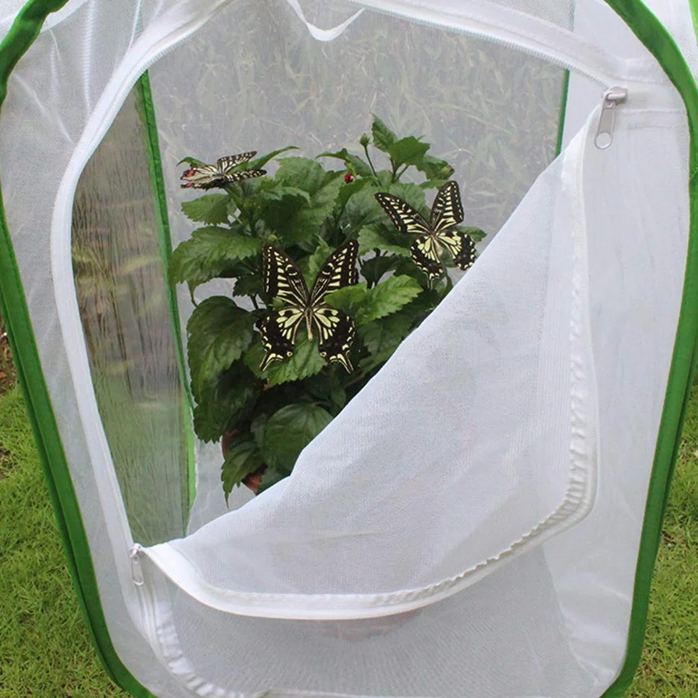 Cage Papillon Habitat Insecte Élevage avec Film PVC Transparent Pliable Amovible Blanc Filet Serre Tente pour Extérieur