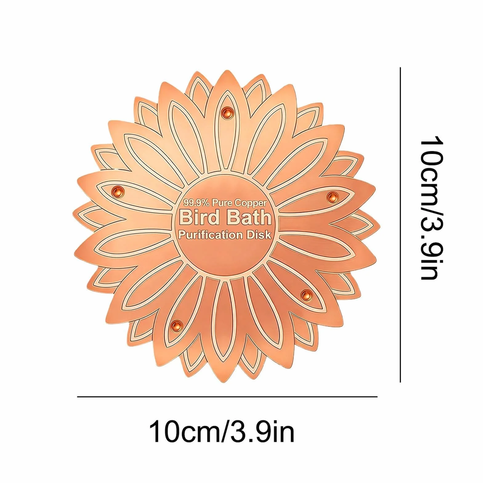 Disque cuivre bain oiseaux fleurs prévention algues jardin