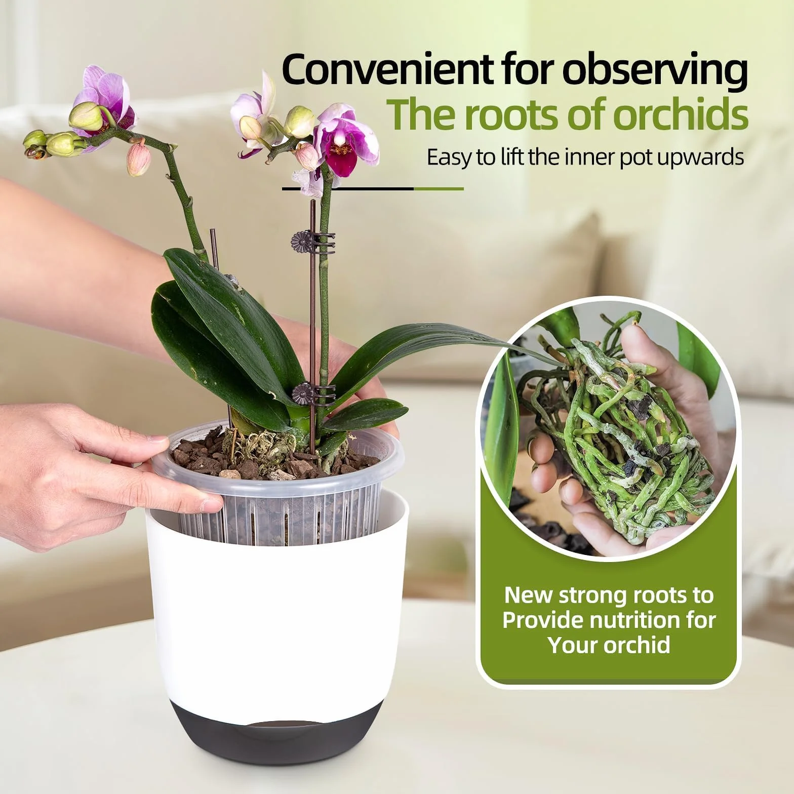 Lot de 2 pots à orchidées 14.5 cm auto-arrosant double couche avec trous