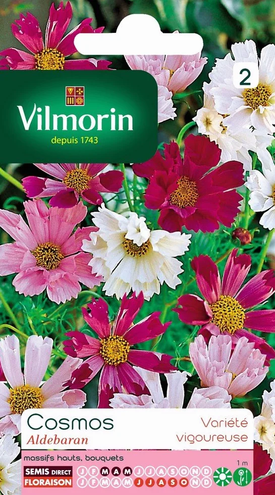 Vilmorin Pack de Graines Cosmos Aldebaran Pétales Tubules