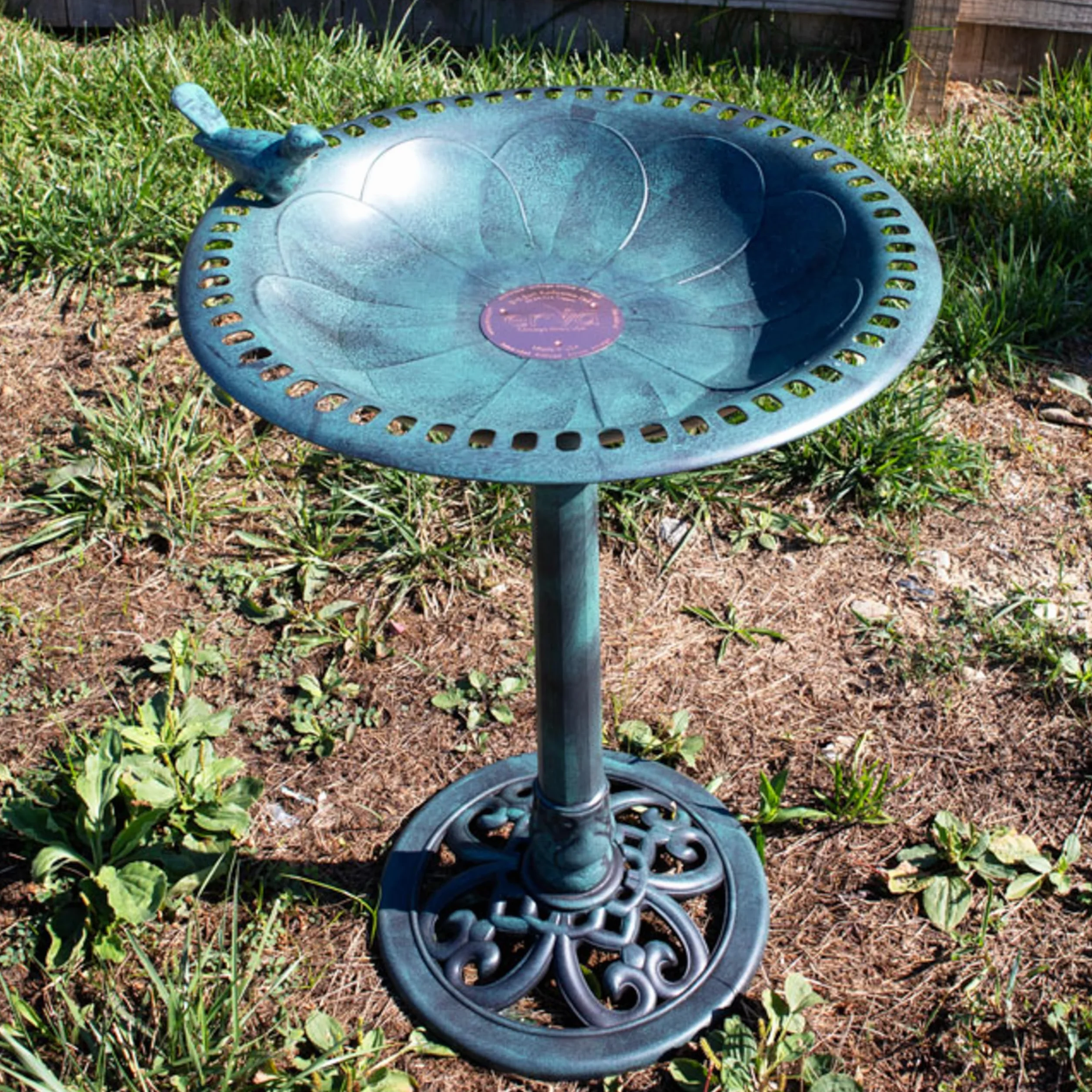 Erva Disque de purification pour bain d'oiseaux en cuivre Fabriqué aux États-Unis