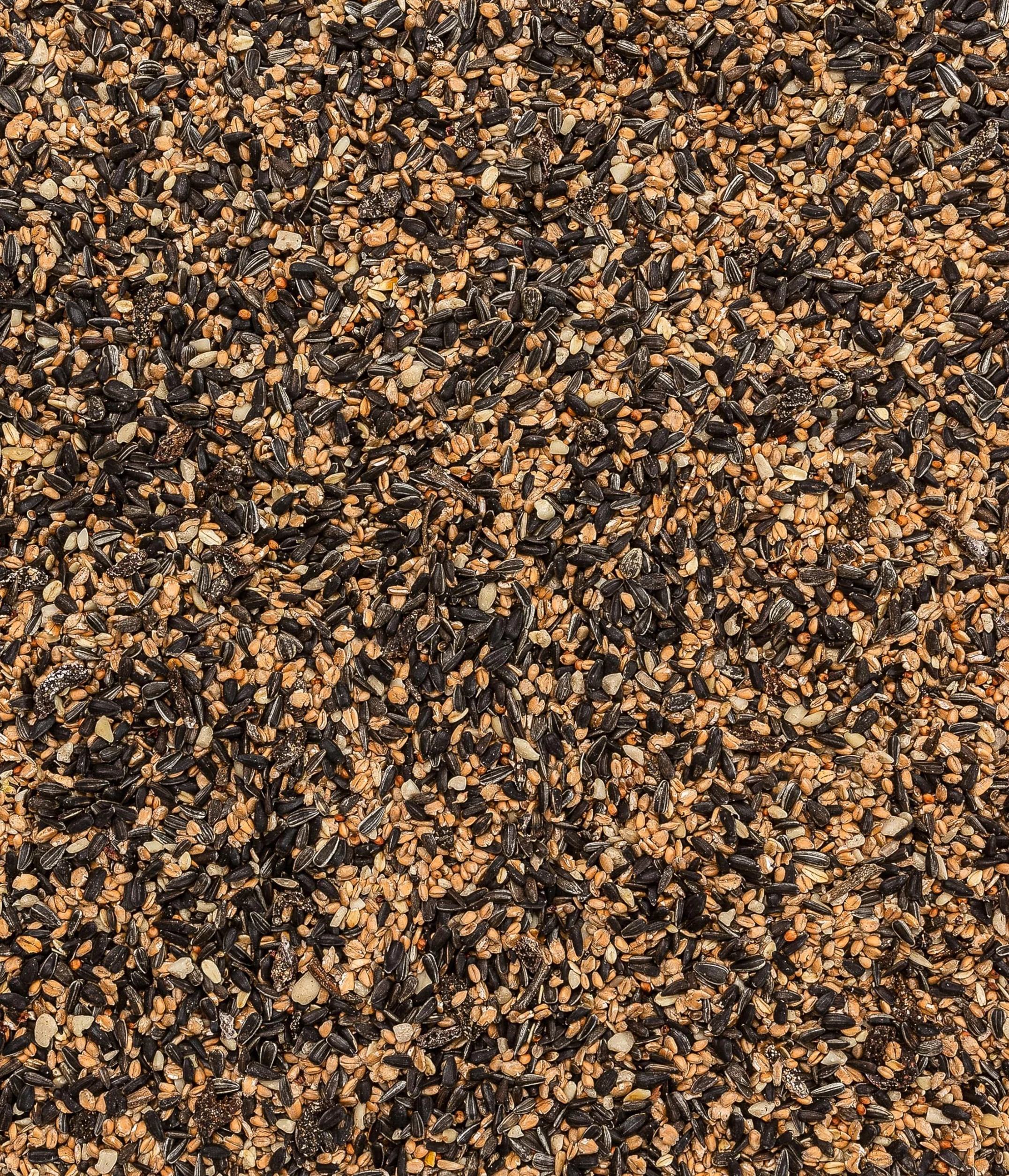 Dehner Natura Premium Nourriture pour Oiseaux Sauvages, mélange de graines, 20 kg