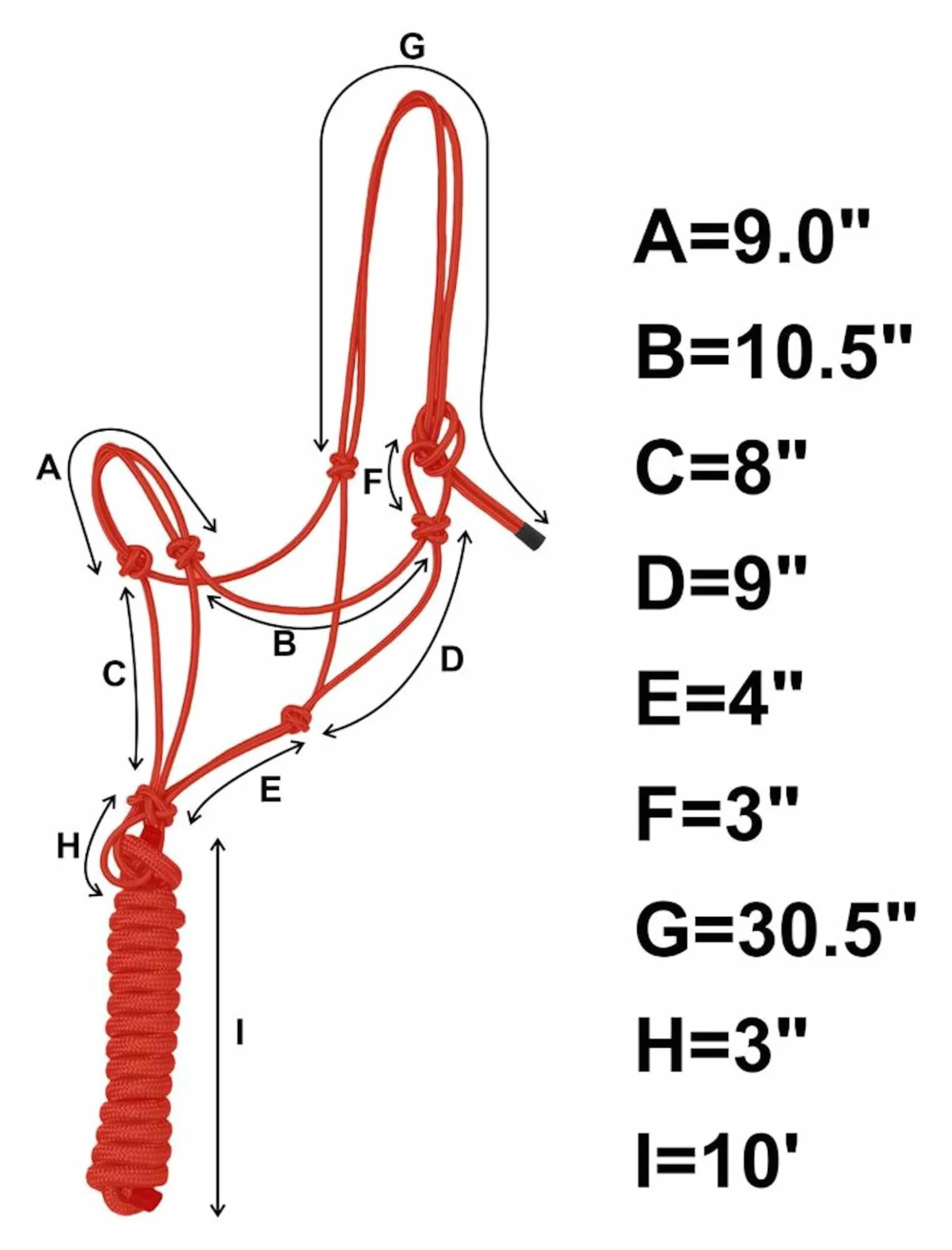 Majestic Ally 1/4 pouce de corde 4 nœuds licol de dressage en polyester rigide avec longe assortie de 3 m pour chevaux – complet (rouge, plein)