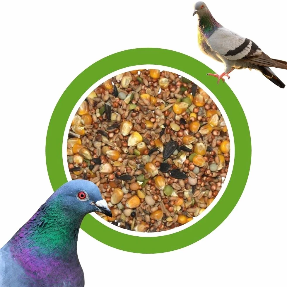 Mélange universel pour pigeons 25 kg – Nourriture pour oiseaux sans additifs artificiels