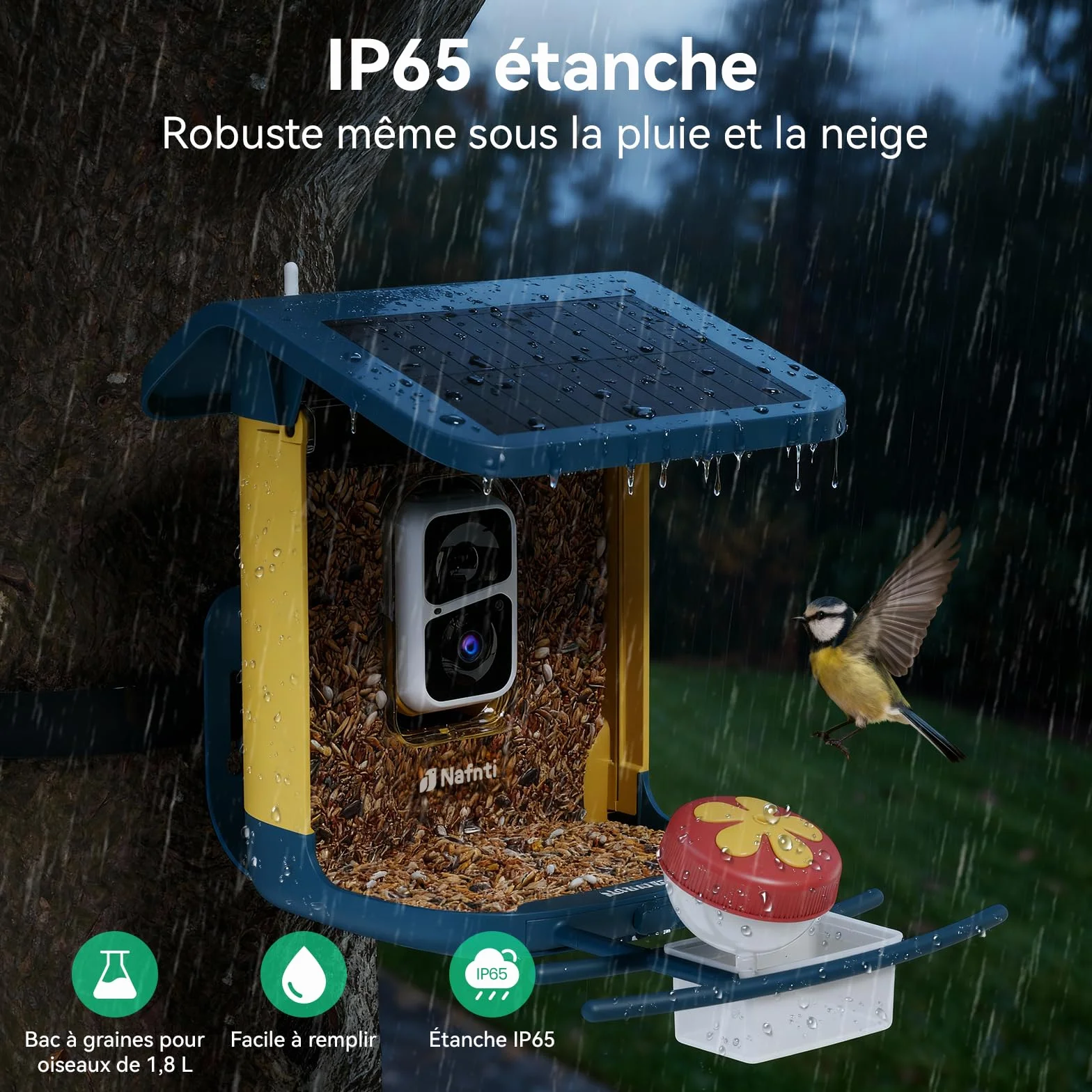 Mangeoire à Oiseaux Caméra 2K Solaire WiFi 2,4/5 GHz Vision Nocturne Couleur Identification IA 10 000 Espèces IP65