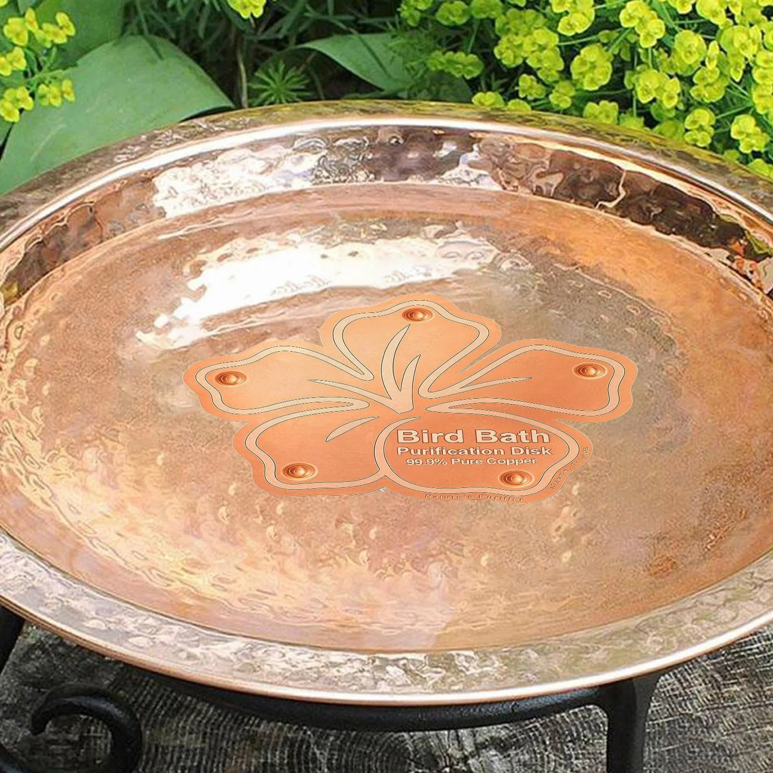 Disque en Cuivre pour Bain d'oiseaux, Accessoire Purificateur d'eau pour Jardin