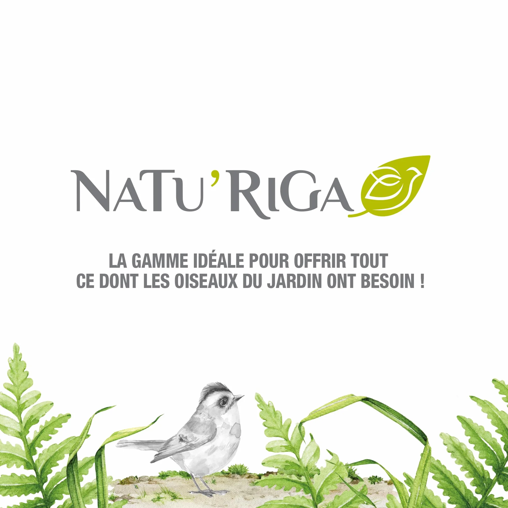 NATU'RIGA Pain De Graisse Aux Graines Et Insectes Nourriture Oiseaux Extérieur 300G