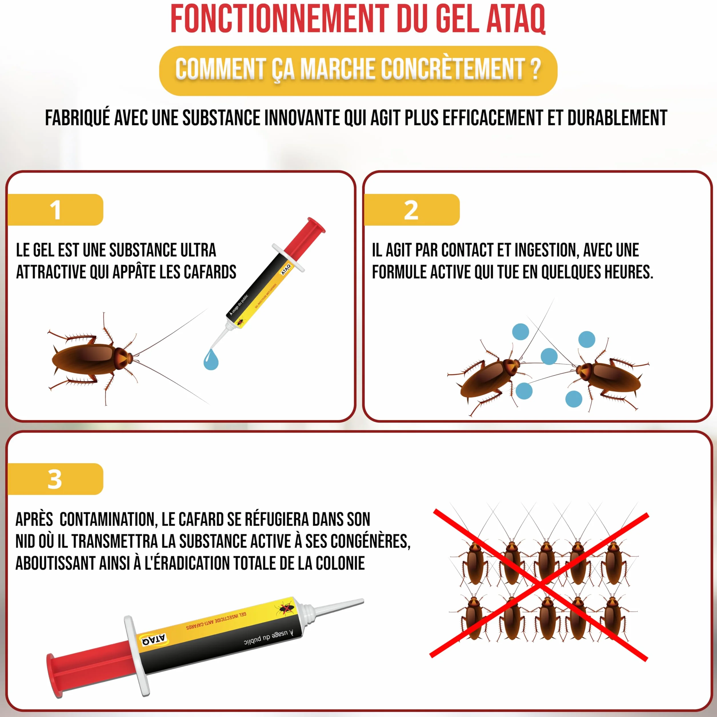 Gel Appât Anti Cafards 10g Professionnelle - Insecticide Puissant Élimine Rapidement Blattes
