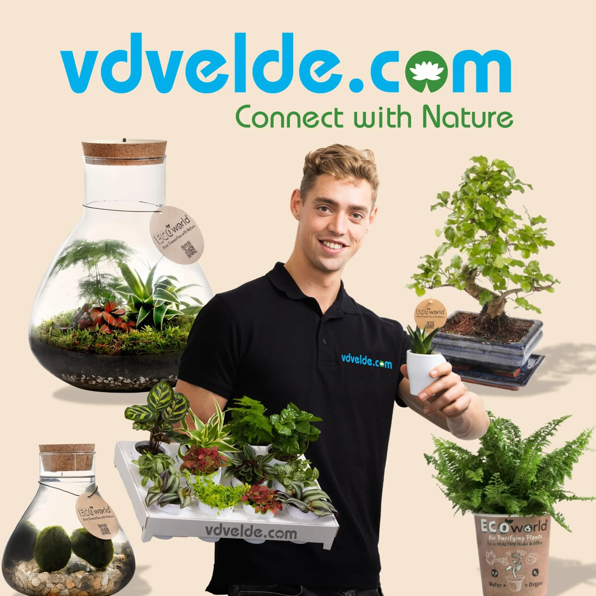Bonsaï Starter Set avec Pot en Céramique Ciseaux Guide d'Entretien Plante d'Intérieur 25-30 cm pour Débutants