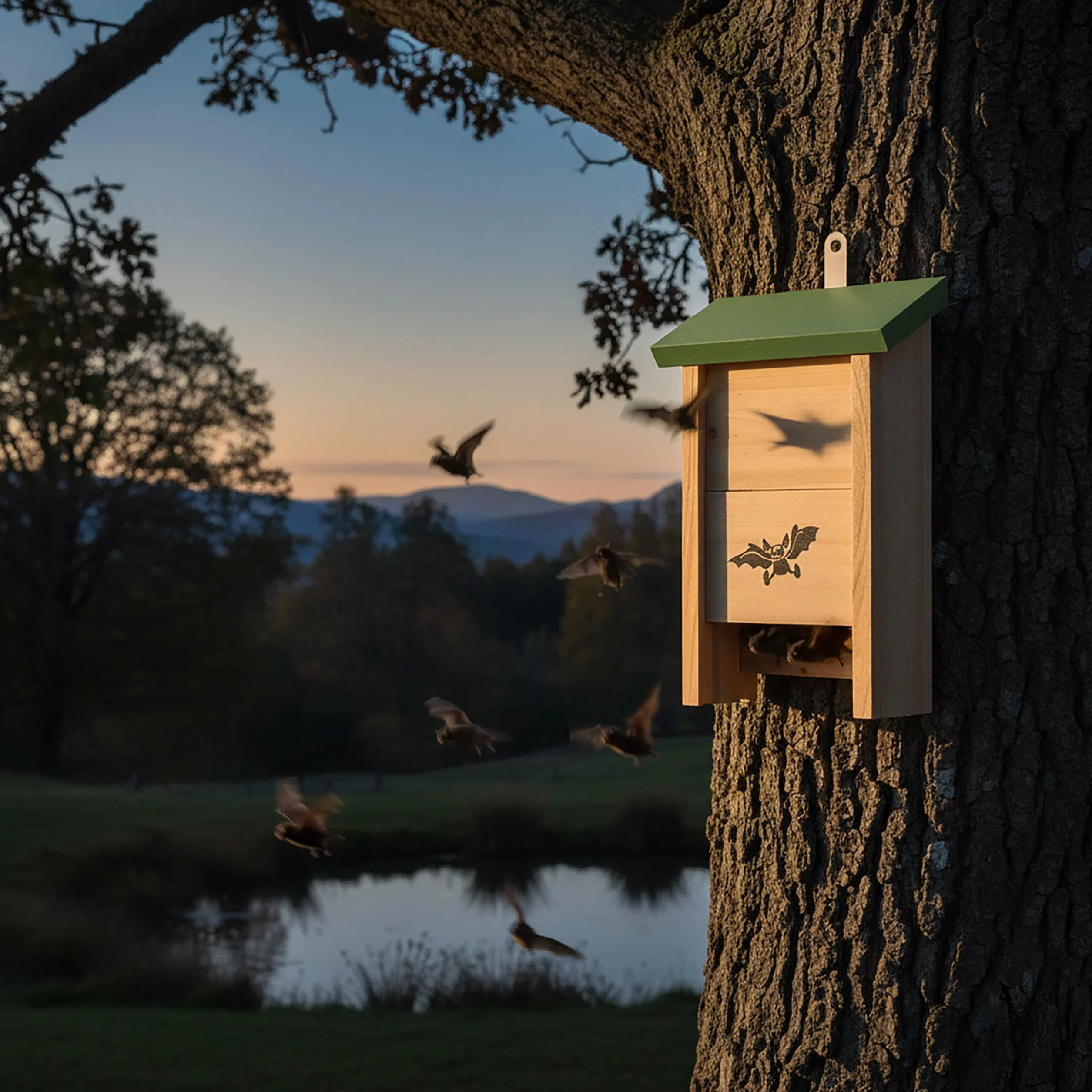 Relaxdays Nichoir à Chauves-Souris Lot de 4 Bois Non traité 25 x 18 x 6 cm Naturel Vert
