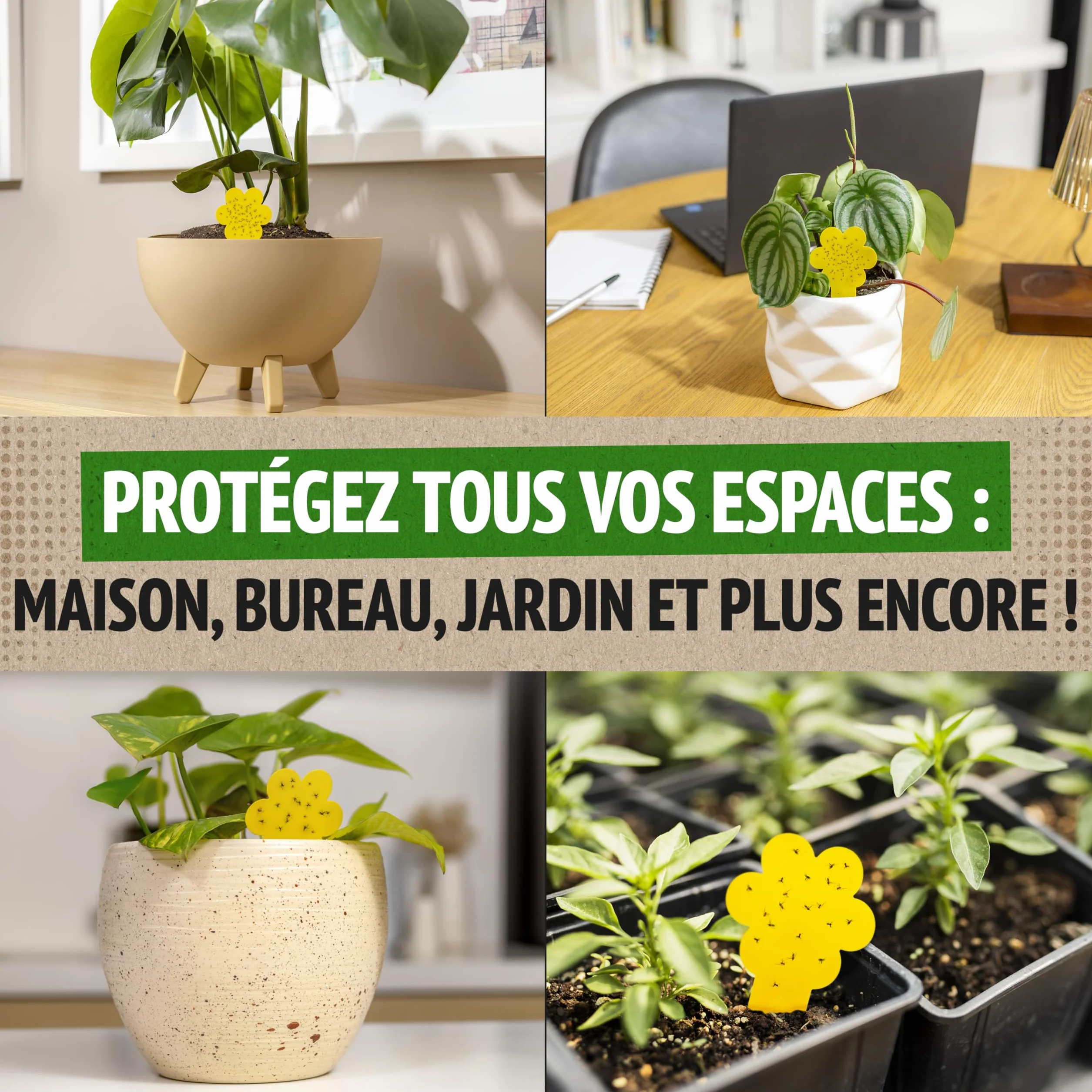 Anti Moucherons Intérieur Plantes, 10 Pièges Jaunes Collants Non Toxiques, Piège Moucherons Ultra Efficace