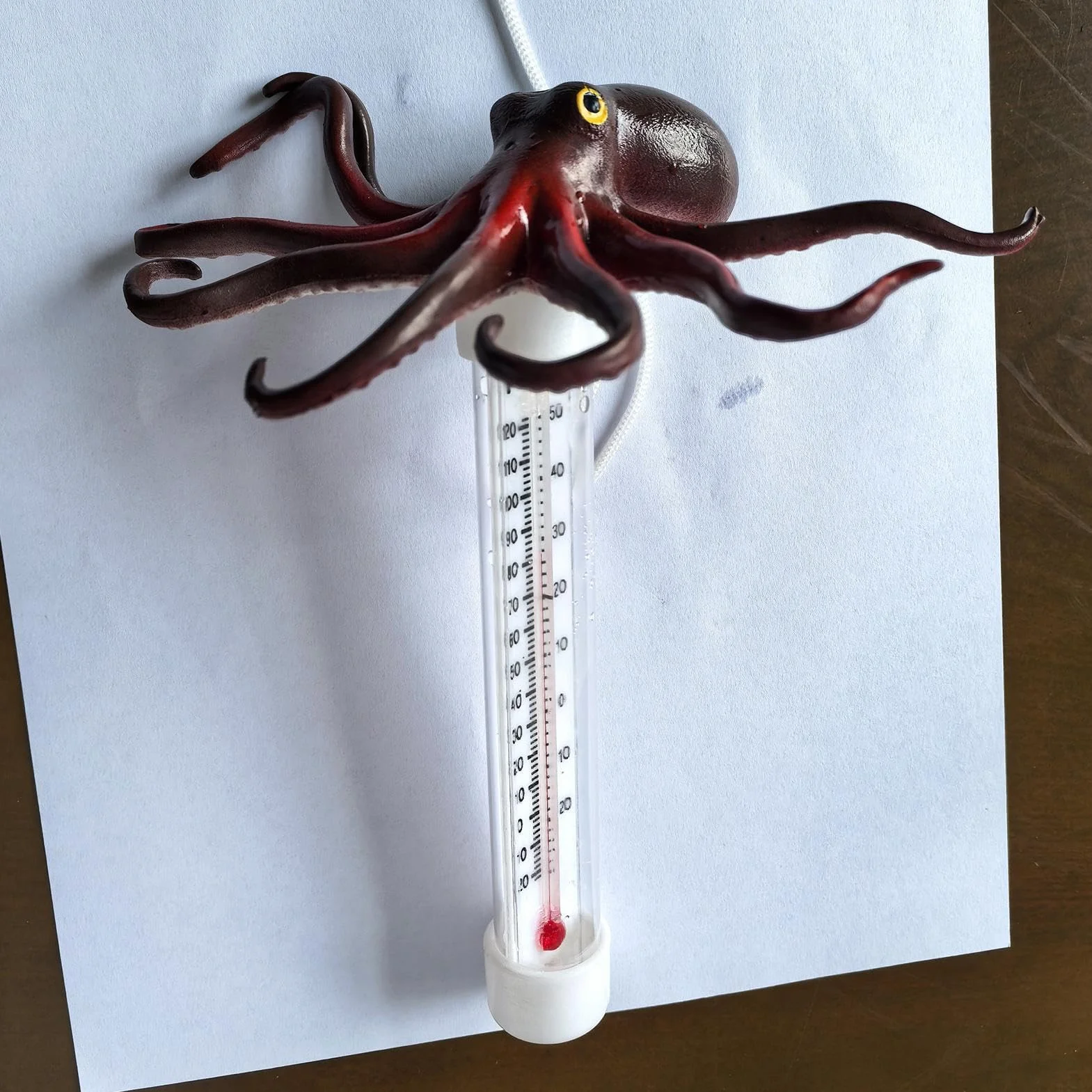 Thermomètre de piscine flottant en forme de pieuvre avec échelle