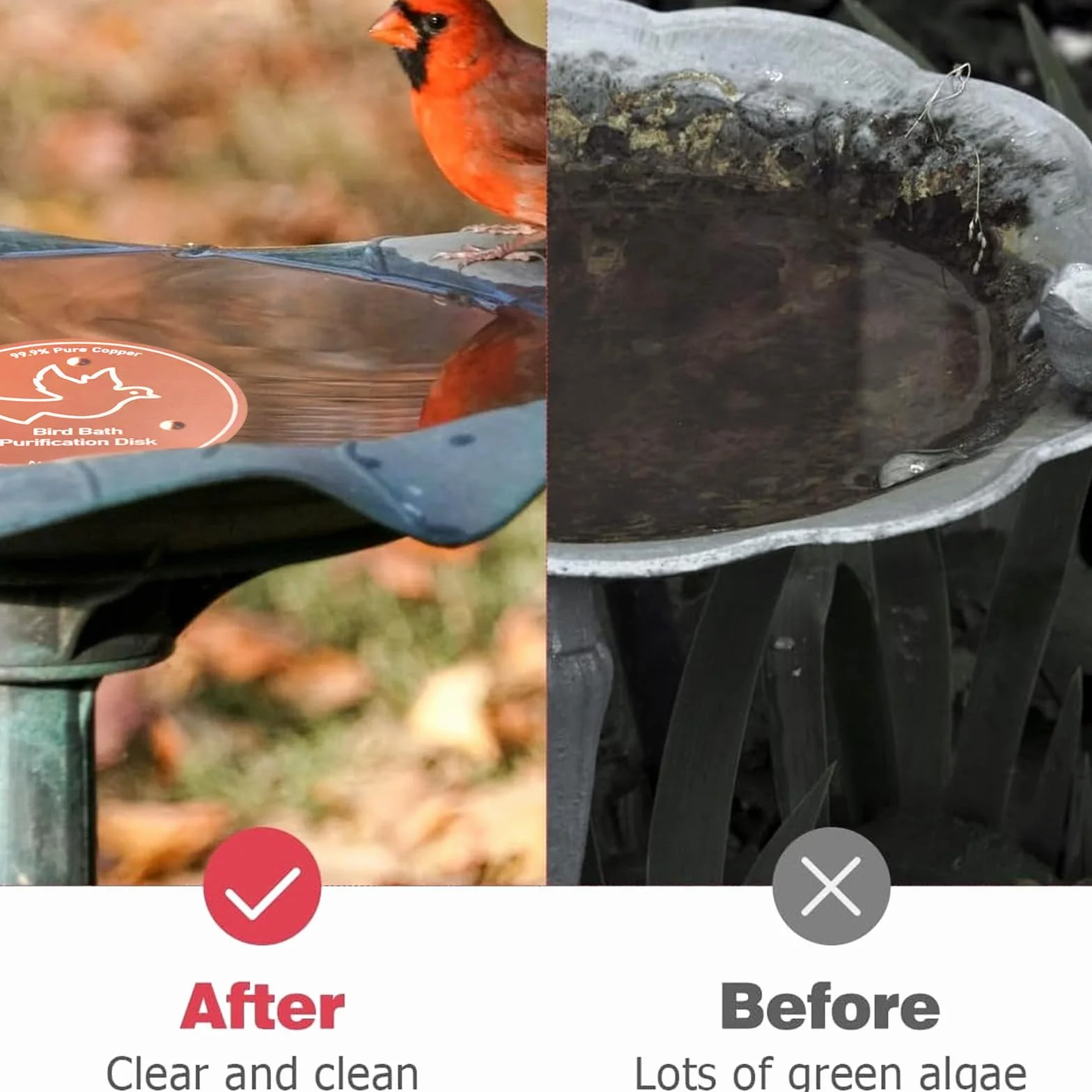 Disque de Purification pour Bain d'oiseaux en Cuivre Pur 99,99% 4 Pouces avec Support à Trois Points