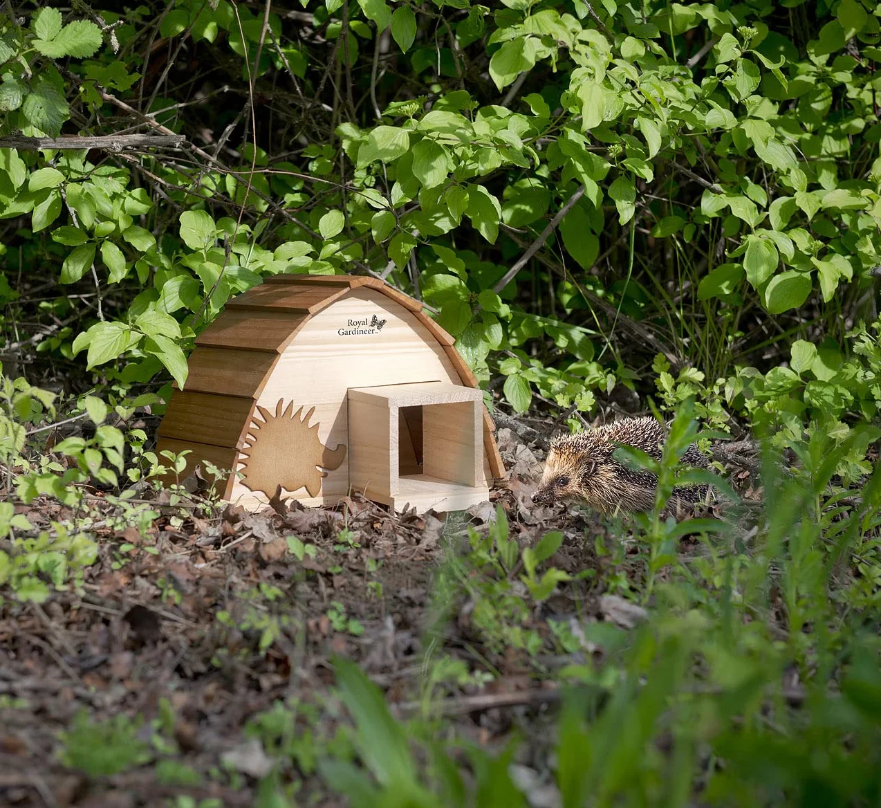 Abri pour hérisson en bois avec toit de bardeaux Royal Gardineer