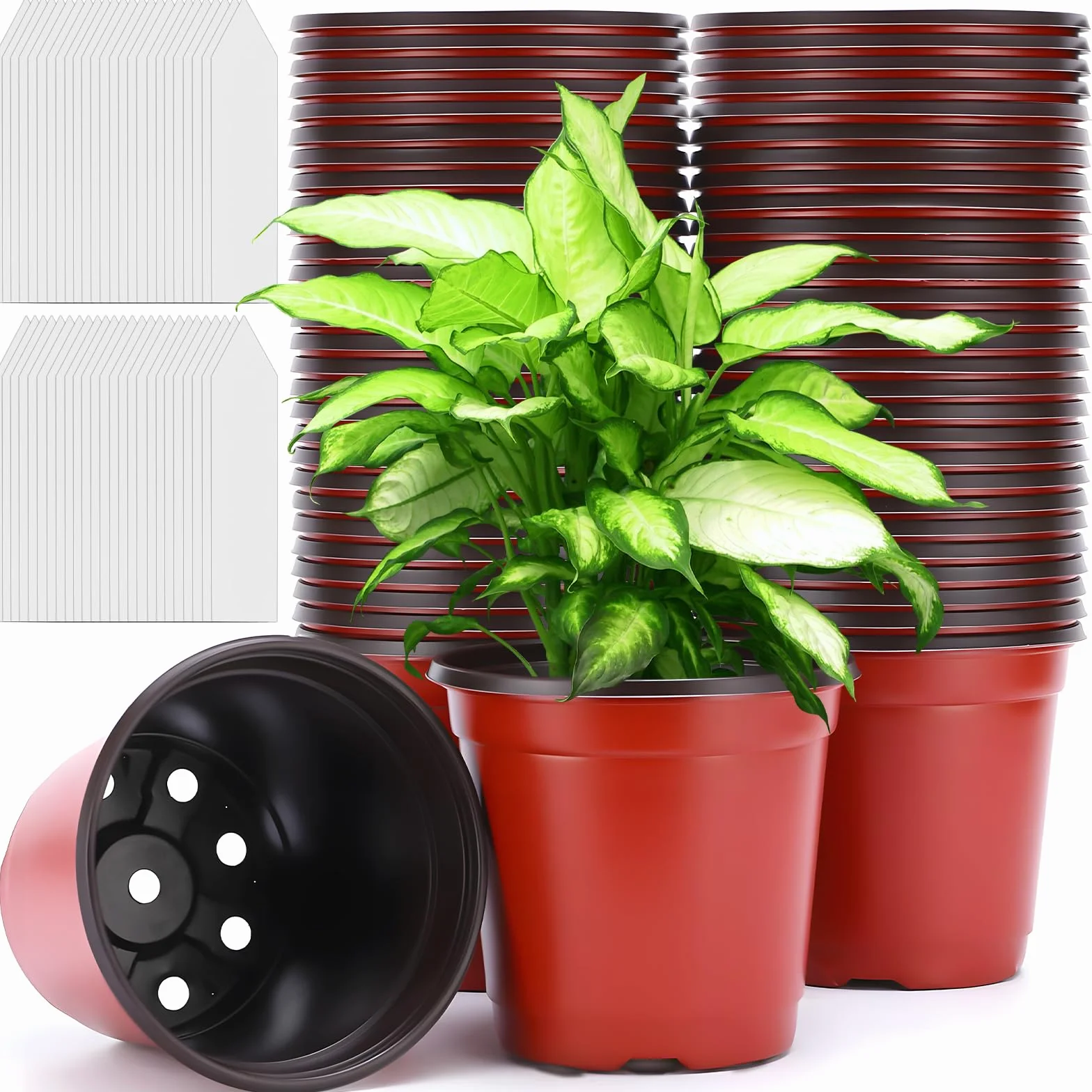 Pot de Fleur Plastique 10cm avec 100 Étiquettes, Pot Semis Réutilisable pour Plantation Intérieure et Extérieure