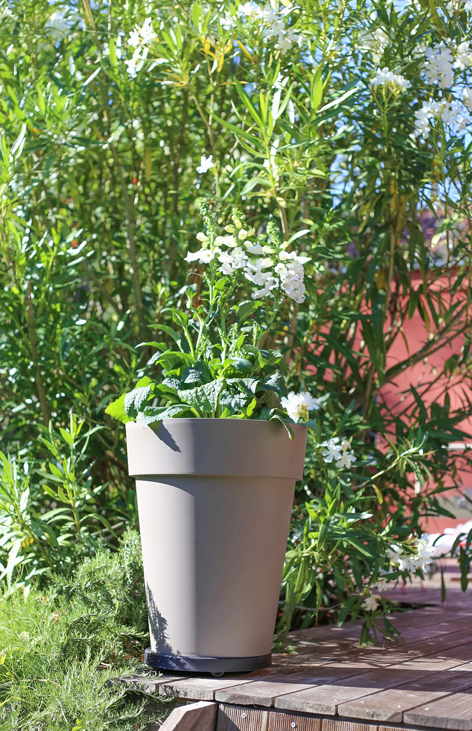 Support à Roulettes pour Plantes Ø 30 cm 5 Roues Multidirectionnelles 150 kg Gris ardoise