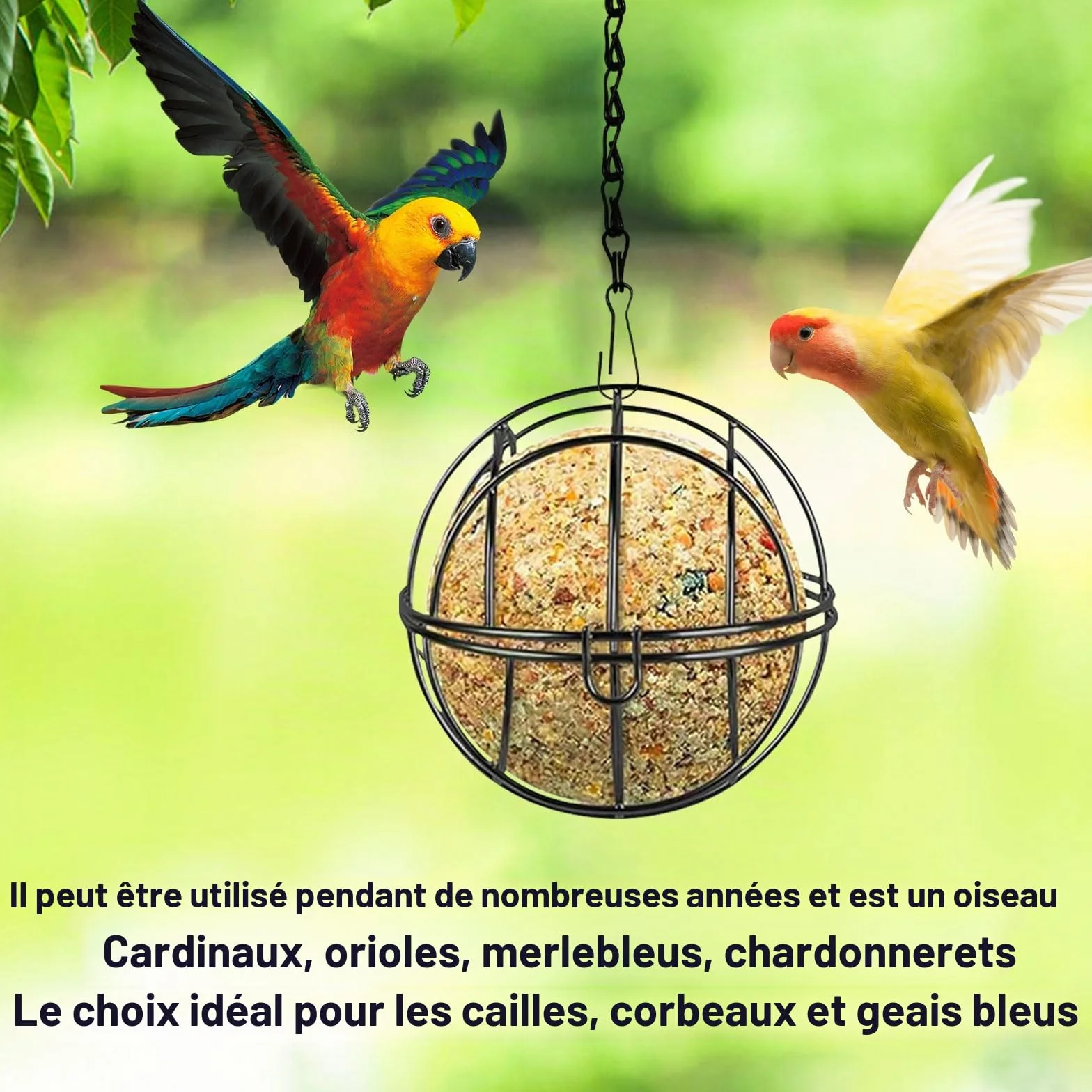 Mangeoires à boules de graisse pour oiseaux en métal anti-écureuils 4 pièces avec crochets S extérieur