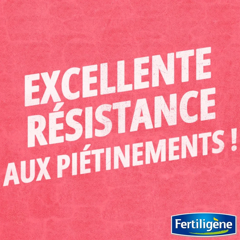 FERTILIGENE RUST35 Semences Gazon Rustique Universel 875 g Résiste aux piétinements 35 m²
