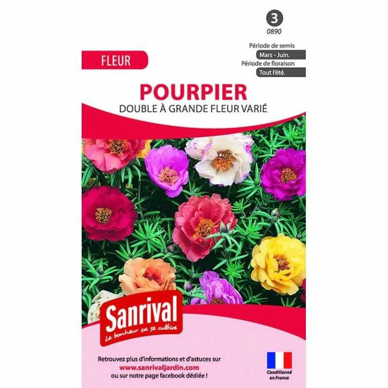 Graines de pourpier double