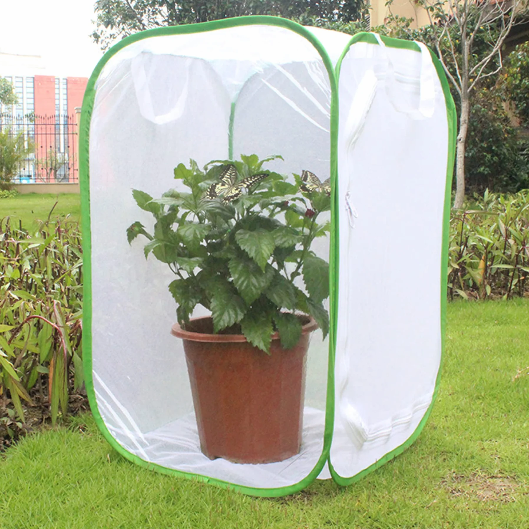 Cage en Maille Papillon 40x40x60cm Filet d'élevage Pliante pour Enfant