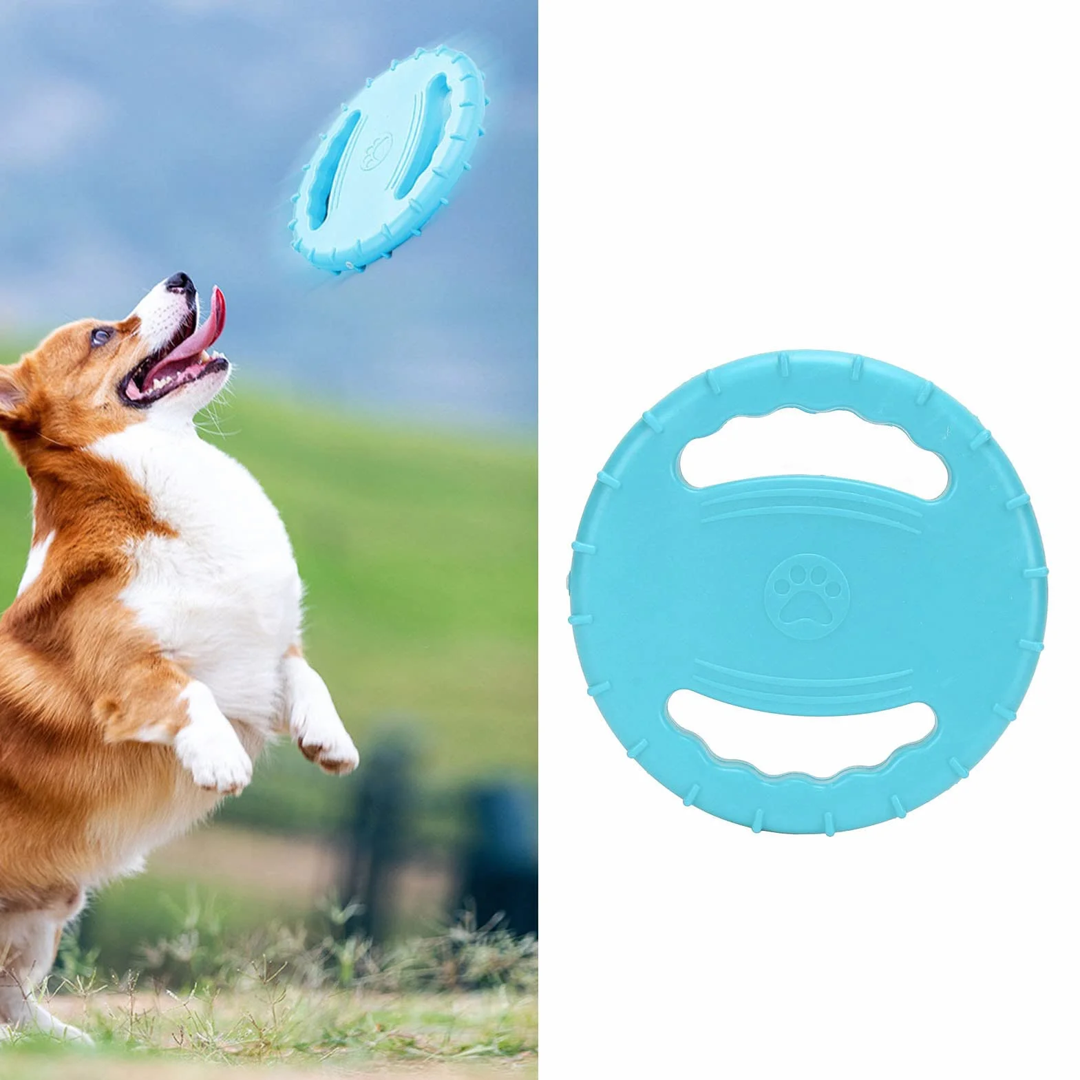 Disque Volant pour Chien Jouet de Sport Interactif 2 Côtés