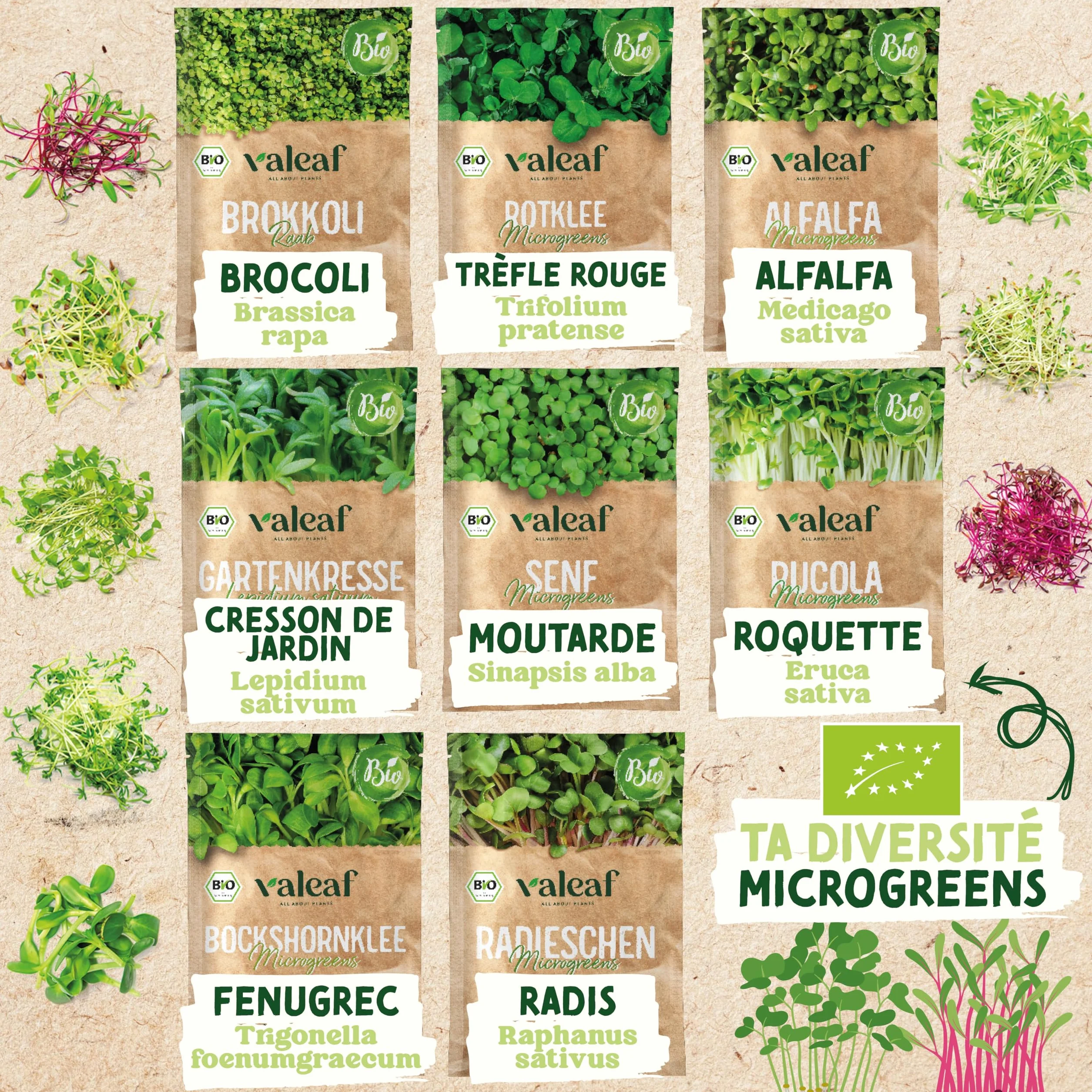 Valeaf Kit de Grains de Microgreens Assortiment de Semences Prêt à Pousser 8 Variétés de Pousses Germées