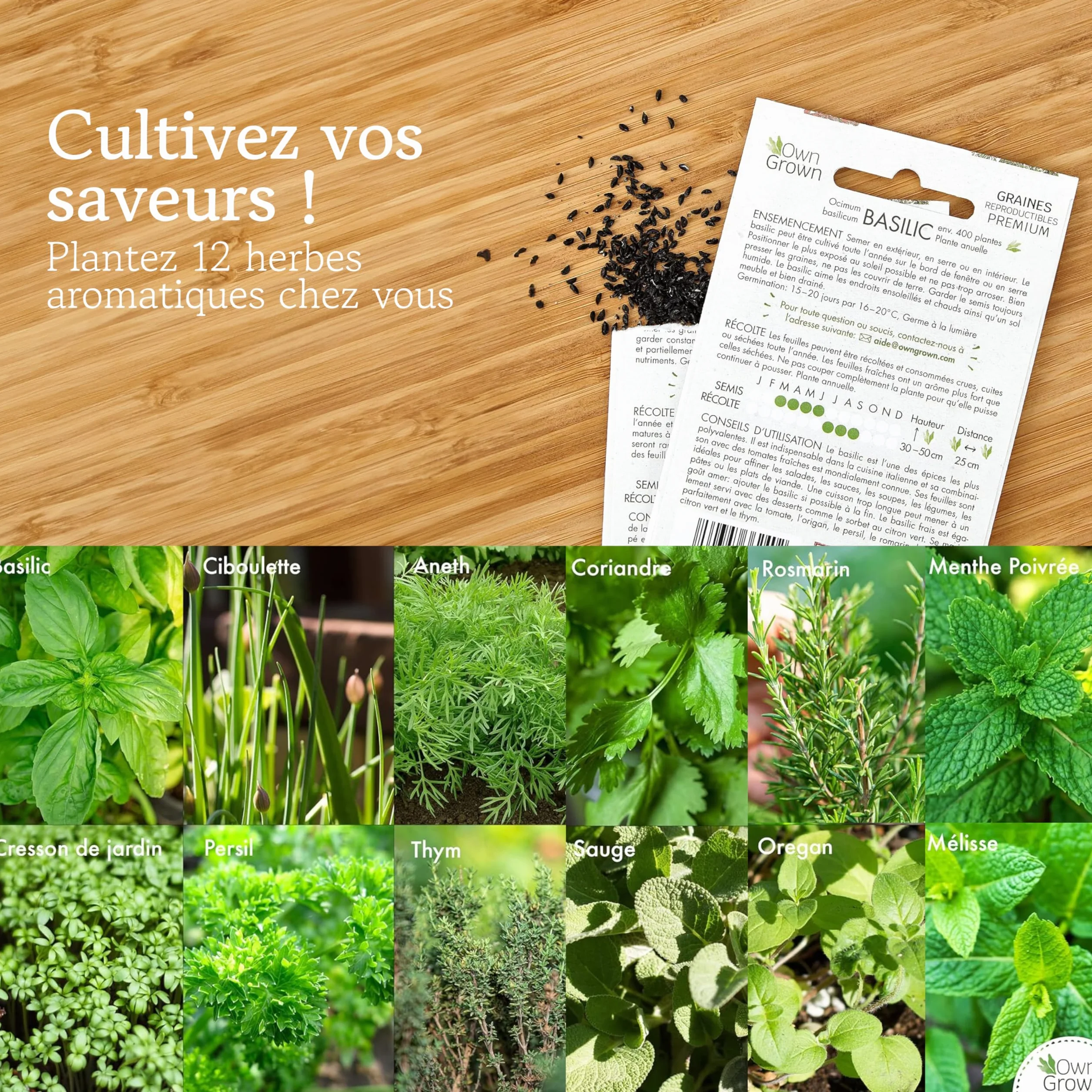 OwnGrown Kit de graines d'Herbes aromatiques, 12 épices et aromates, pour culture intérieure et extérieure