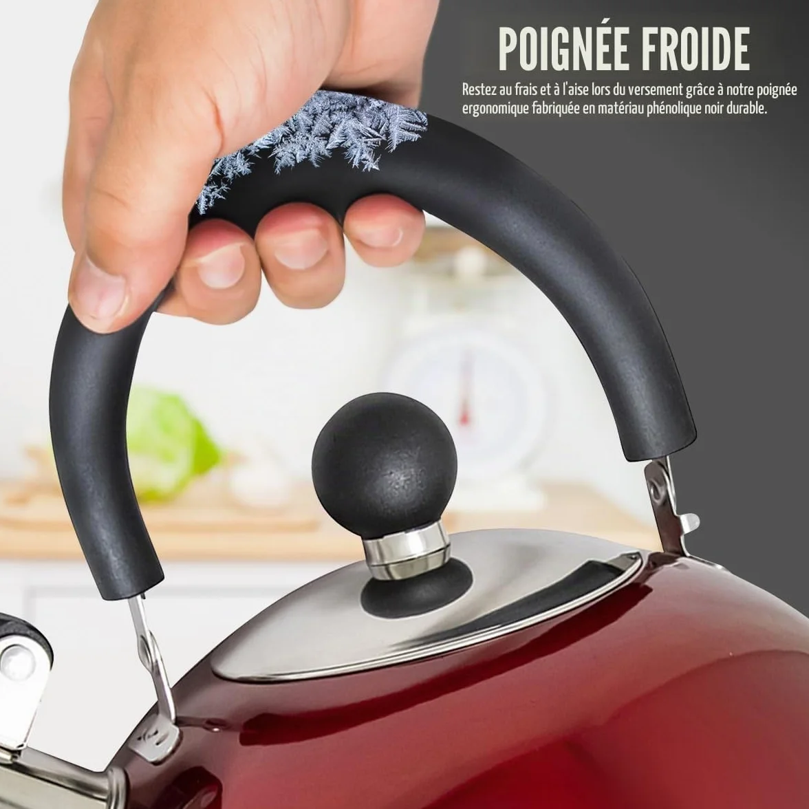 Bouilloire sifflante en acier inoxydable léger, 2,5 L
