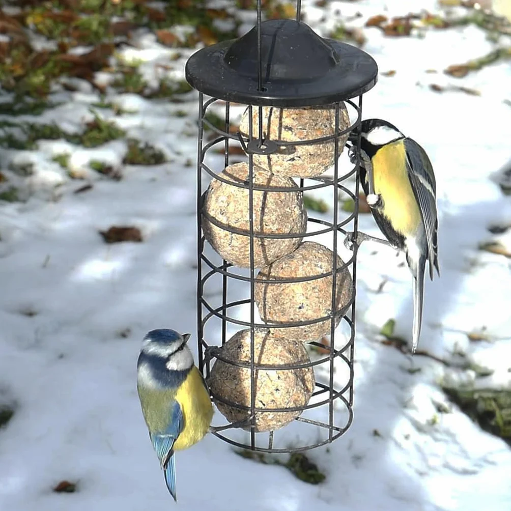 Boules Graisse VÉGÉTALE pour Oiseaux du Jardin – Fabriqué en France – 200 Boules sans Huile de Palme