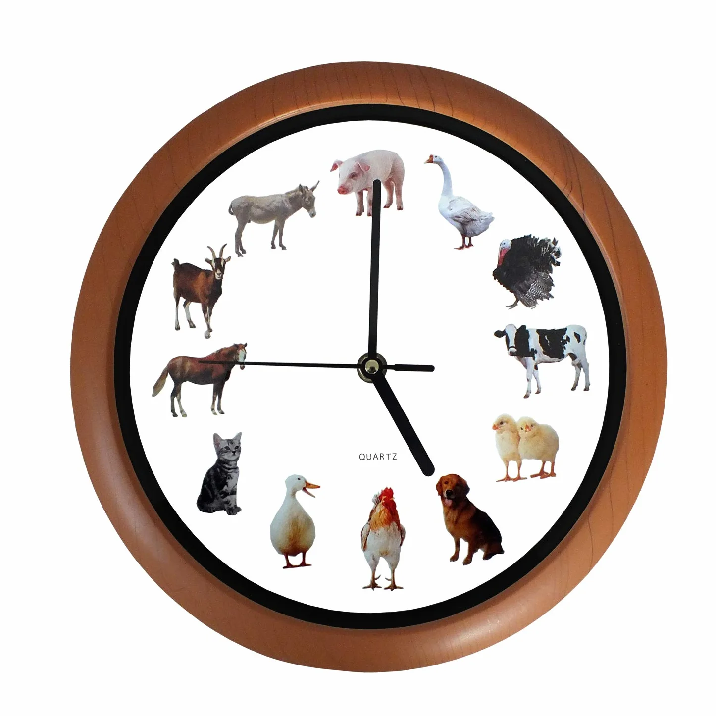 SAFE Horloge Murale Enfants avec 12 Voix d'animaux Apprentissage
