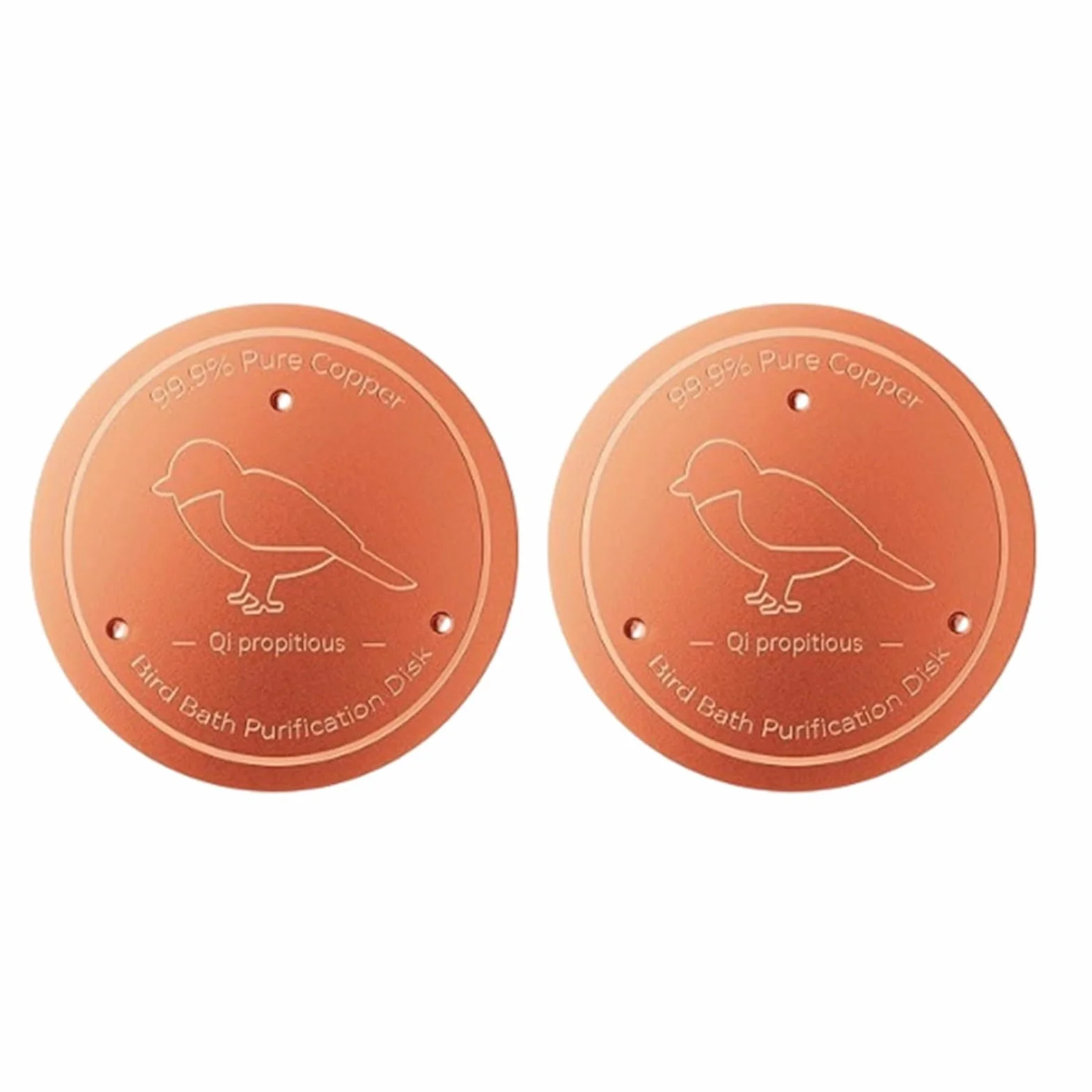 Lot de 2 disques de purification en cuivre pour bain d'oiseaux, plaques antirouille robustes avec support stable pour extérieur