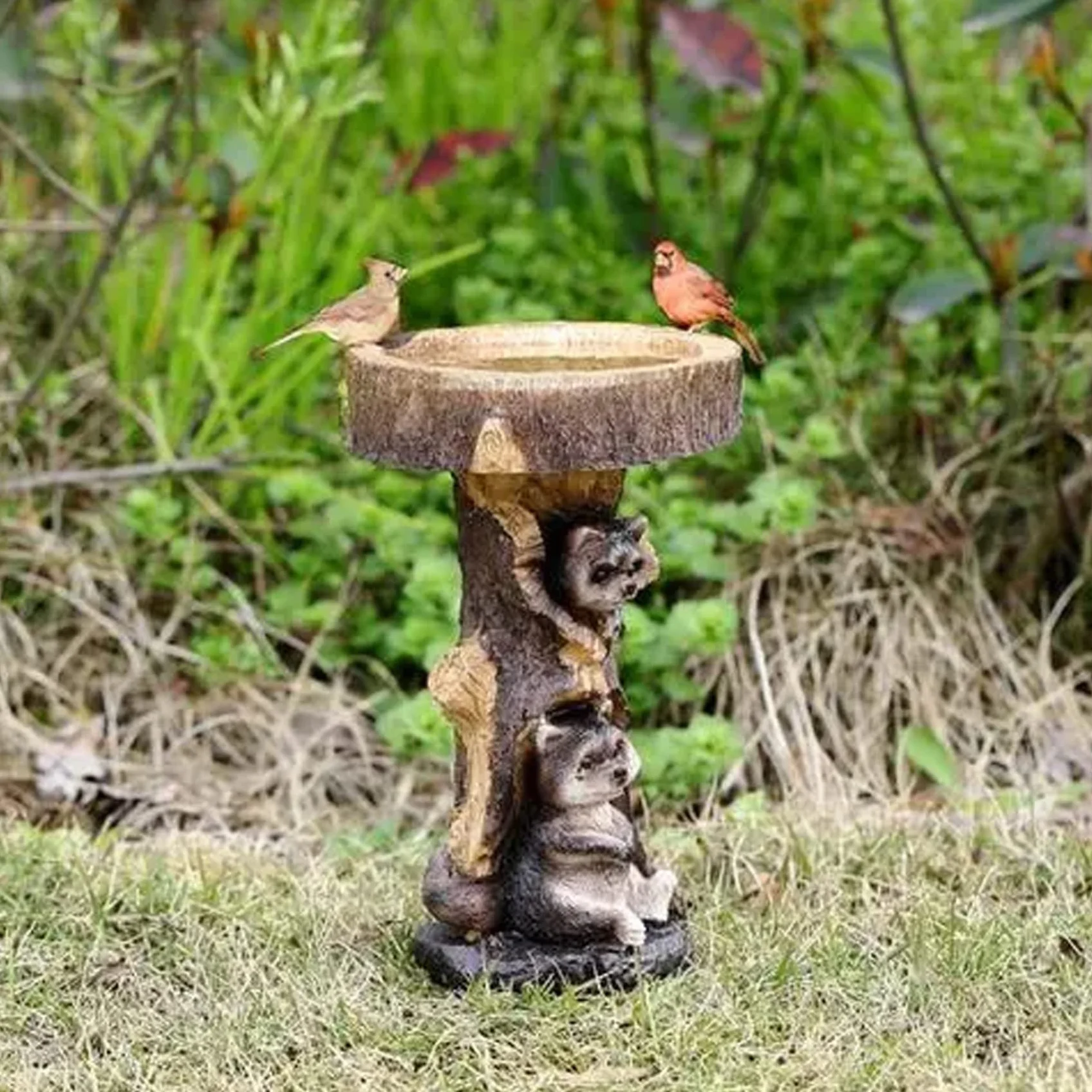 Bol de Bain d'oiseaux en résine Raton Laveur, Mangeoire Artificielle pour Oiseaux, Décoration Debout