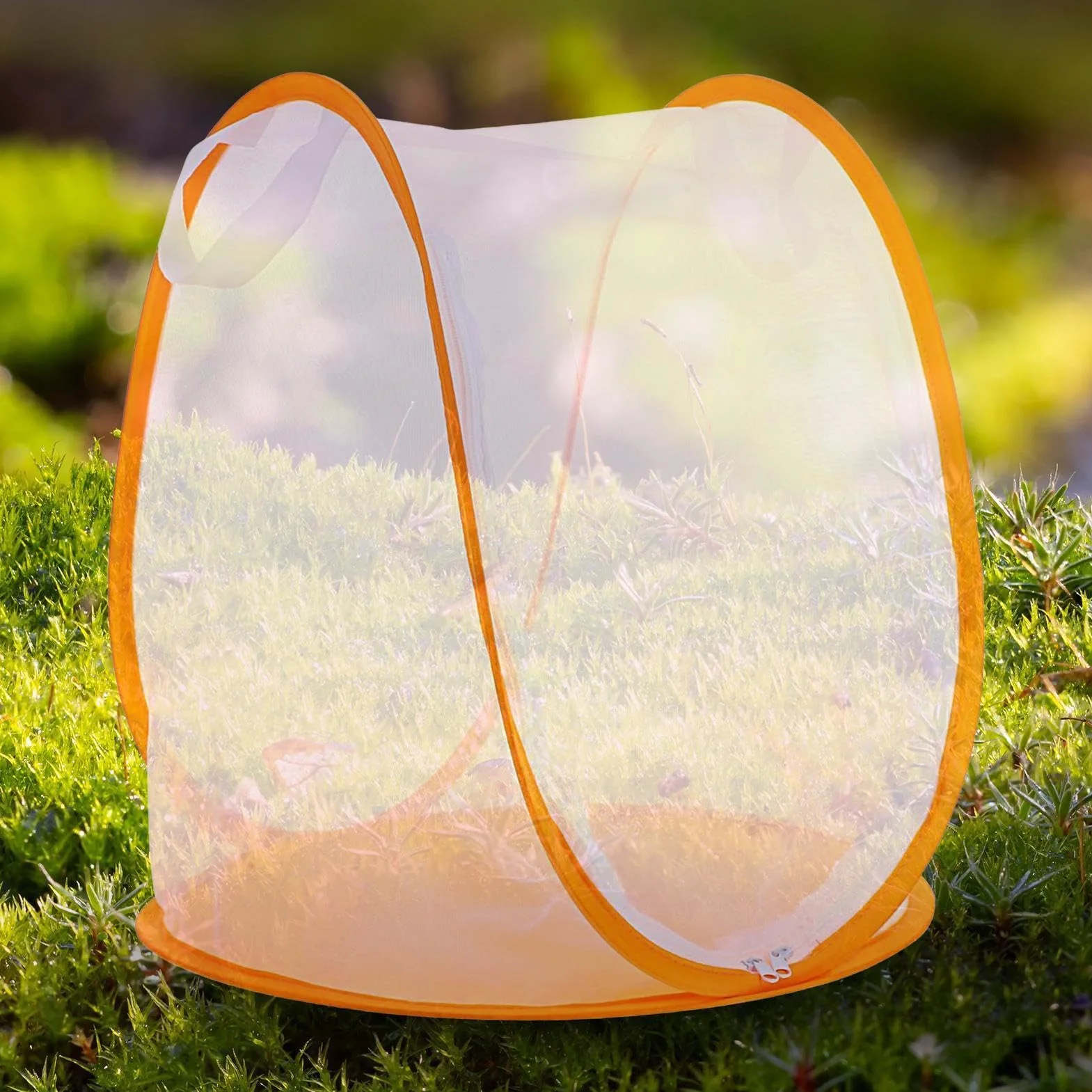 Habitat Chenilles Terrarium Portable Maille Cage Papillon Intérieur Extérieur Jardin