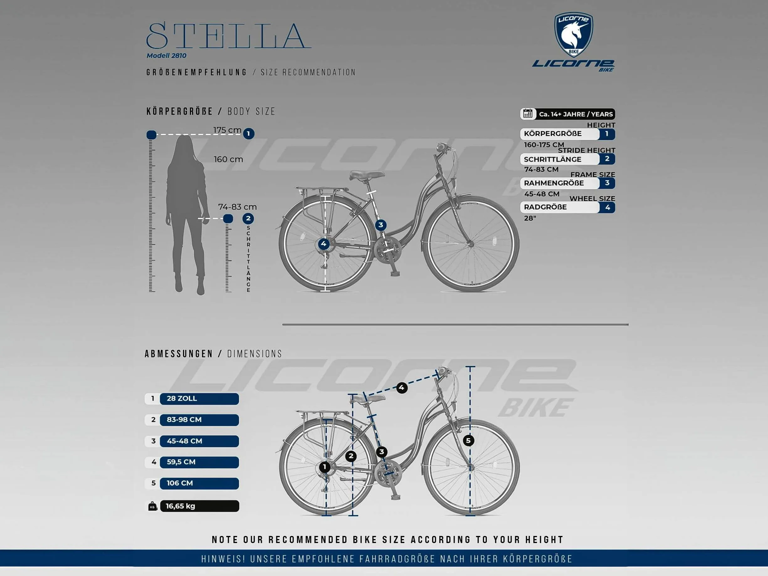 Licorne Bike Stella Premium City Bike 24 26 28 pouces Dérailleur Shimano 21 vitesses Vélo hollandais