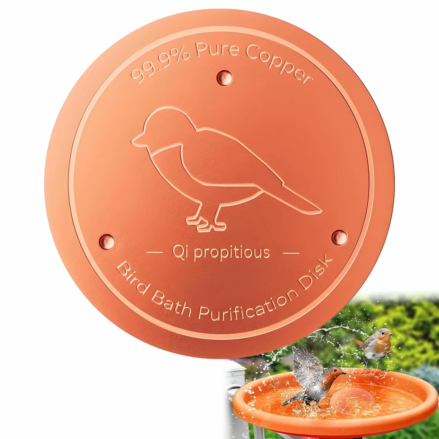 Disque en cuivre pur 99,99% pour purifier l'eau des bains d'oiseaux, bassins et fontaines extérieurs