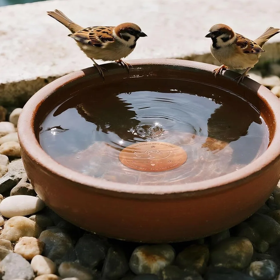 Disque en cuivre pur 99,99% pour bain d'oiseaux diamètre 100 mm