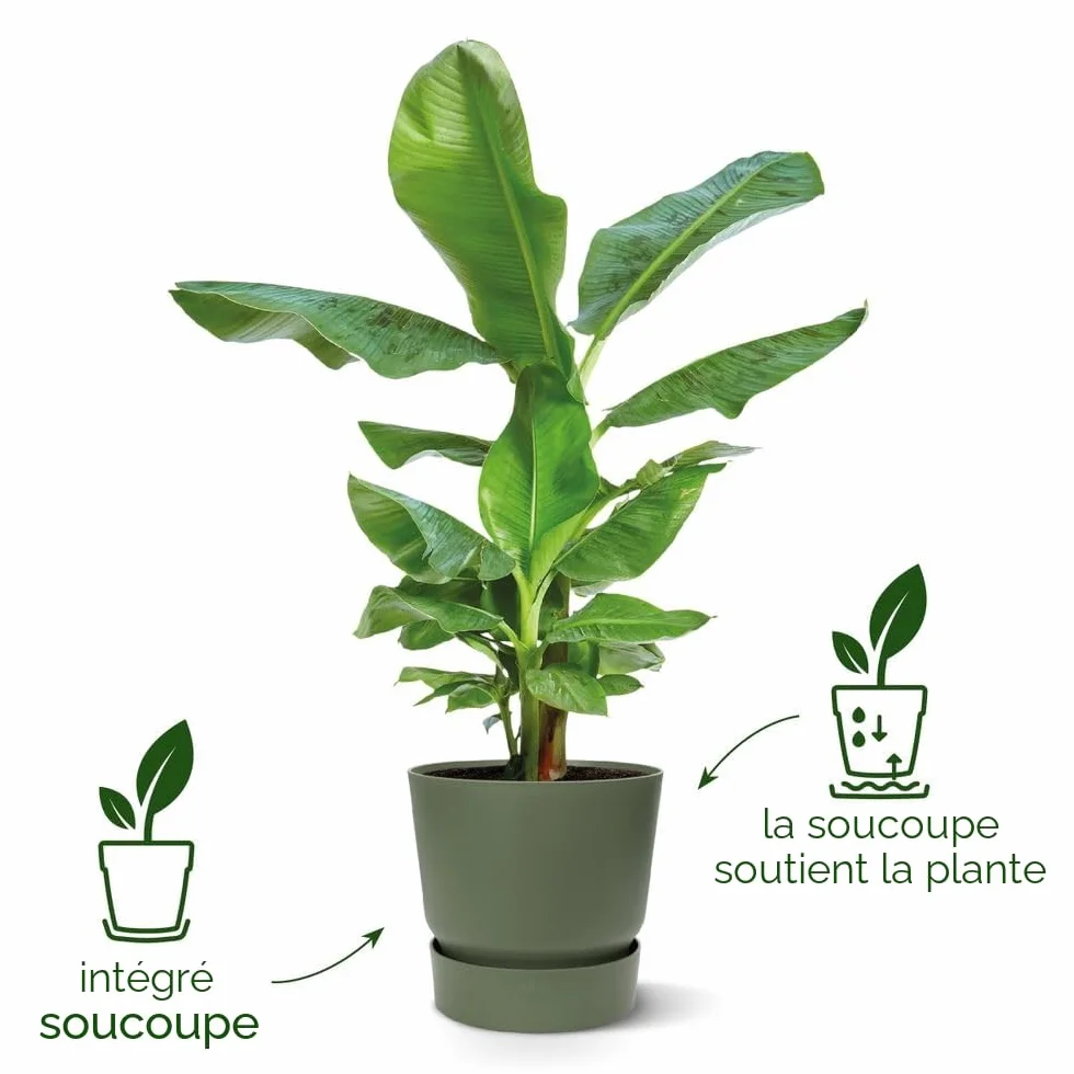 Elho Greenville Rond 16 Pot De Fleurs avec Réservoir d'eau Intégré, Plastique 100% Recycle, Ø 16 x H 15.3 cm, Vert/Leaf Green