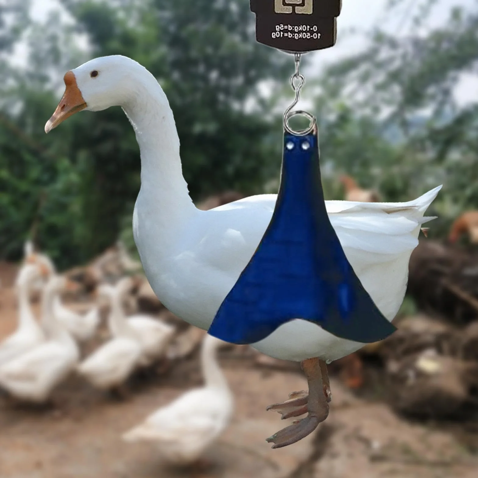 Balance électronique pour volaille Sac de pesée de poulet Élingue de support avec échelle de poids
