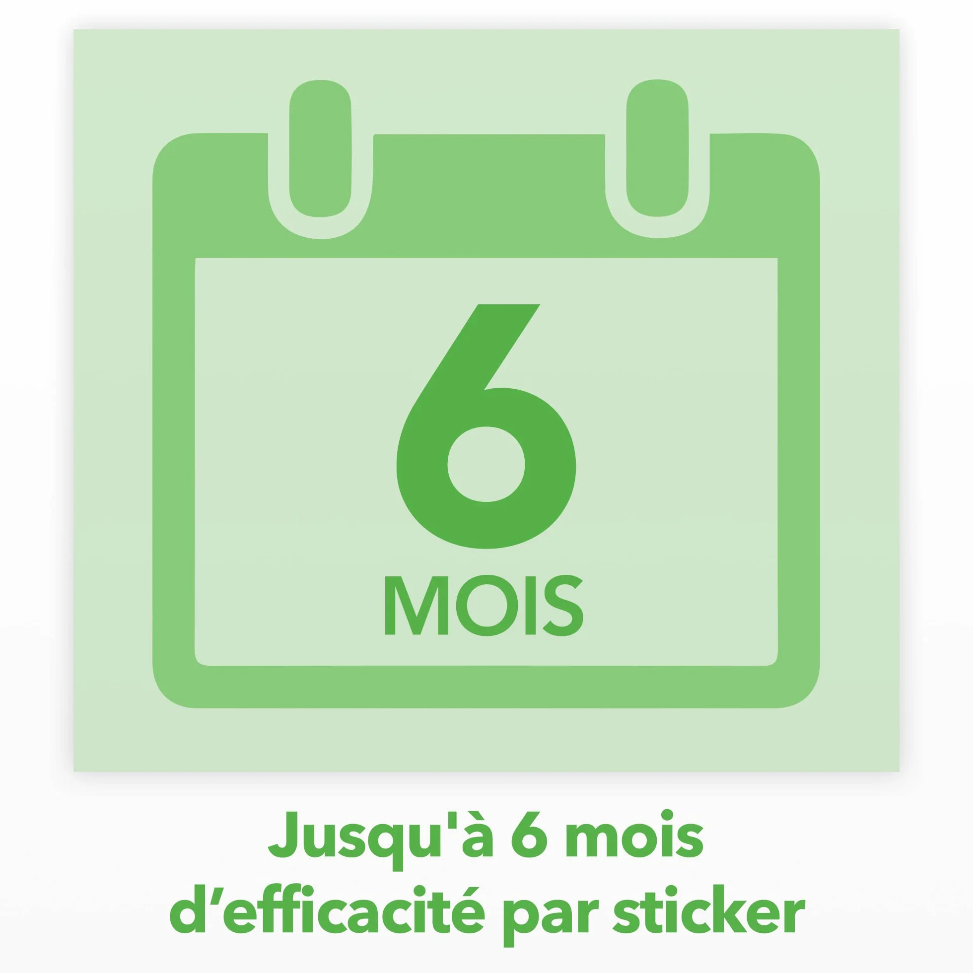 Raid Piège à Mouches Sans Insecticides 6 Pièges Efficacité 6 Mois