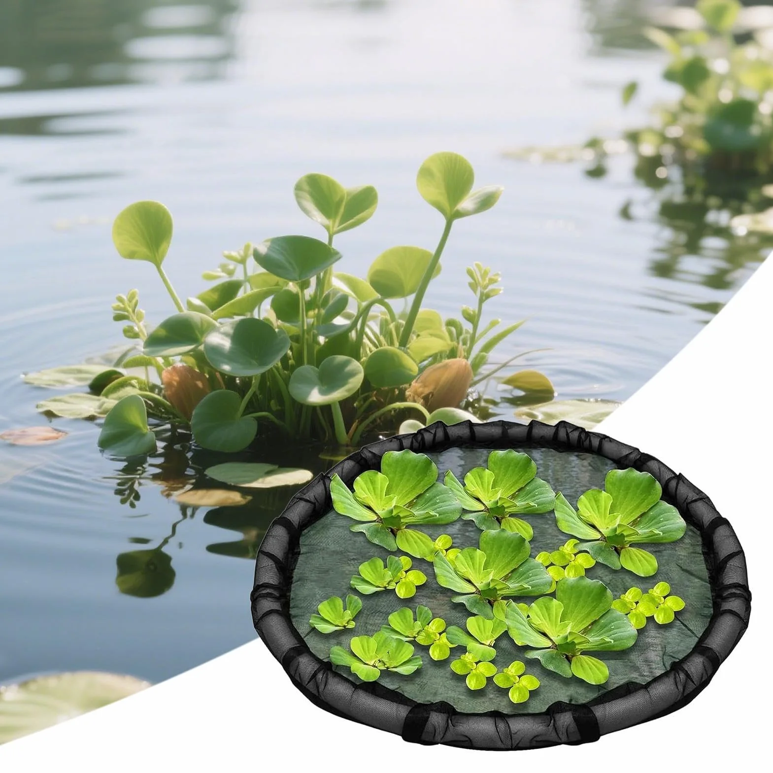 Barrière Flottante pour Étang 45 cm avec Maille Fines pour Bassin, Jardin et Décoration