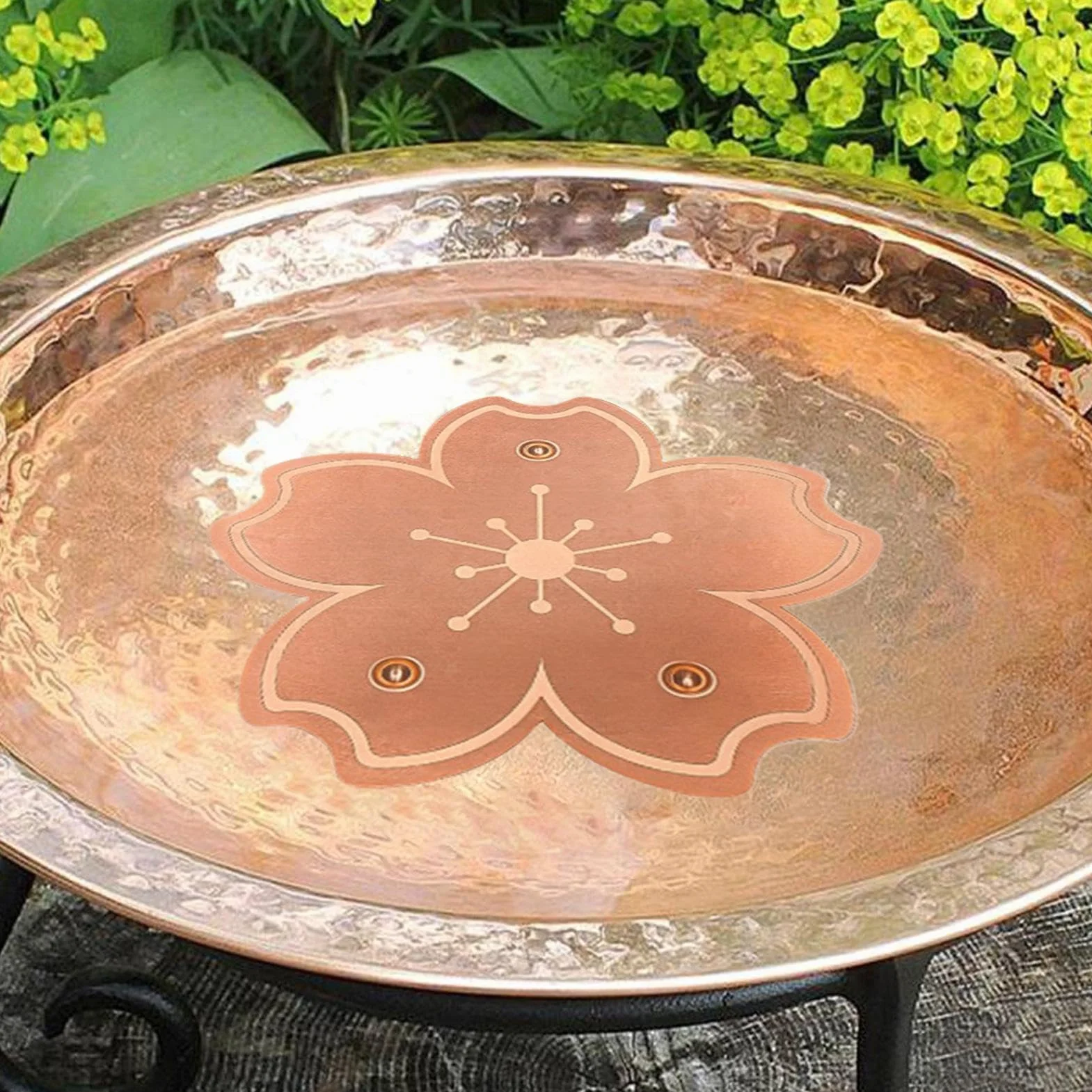 Disque en Cuivre Purificateur pour Fontaine À Oiseaux, Nettoyage Anti-Rouille 3 Pièces