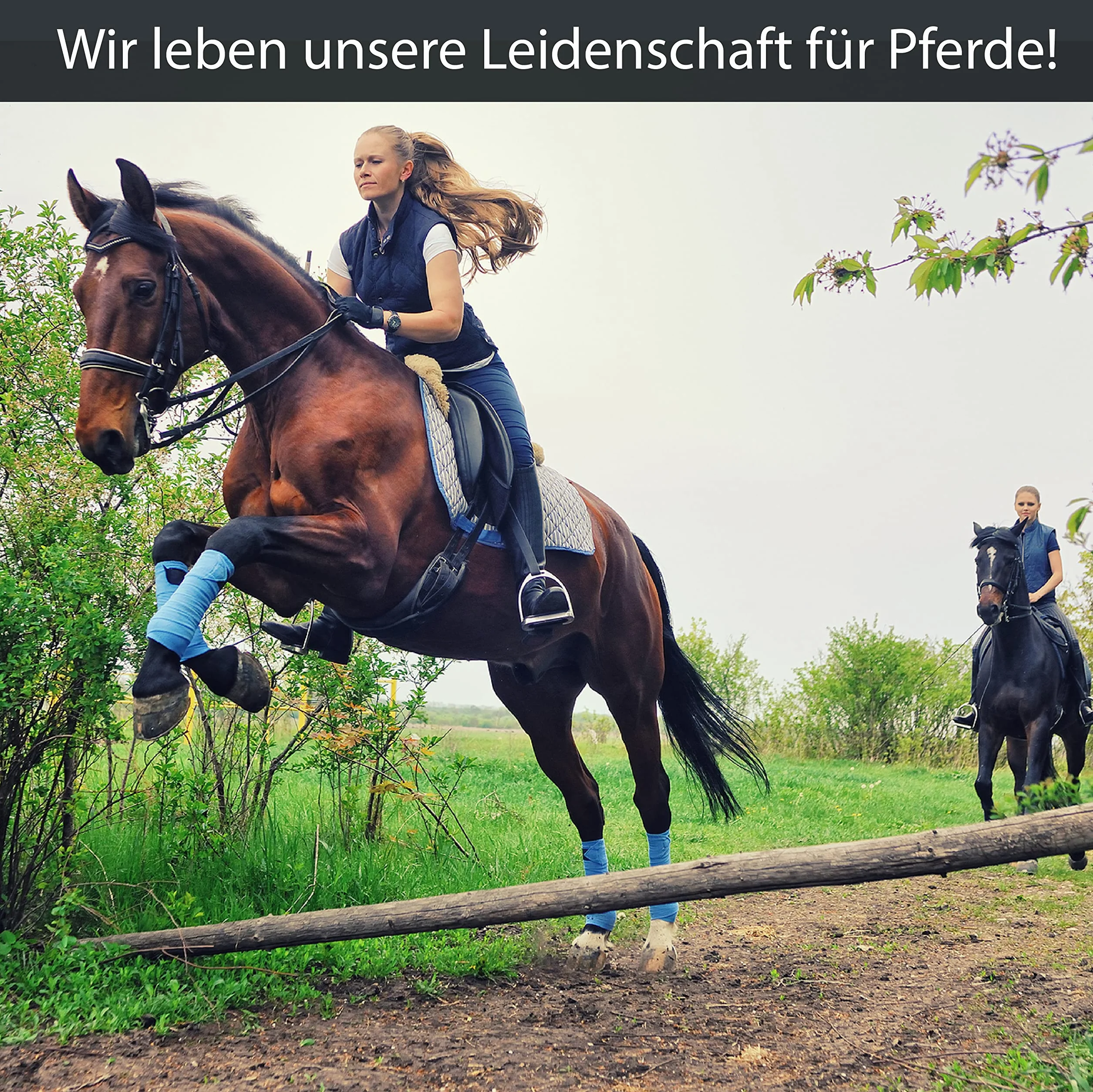 Sangle de selle courte en néoprène pour cheval - Convient comme sangle de selle - Sangle de selle - Sangle ventrale - Sangle en néoprène noire (60 cm, noir)