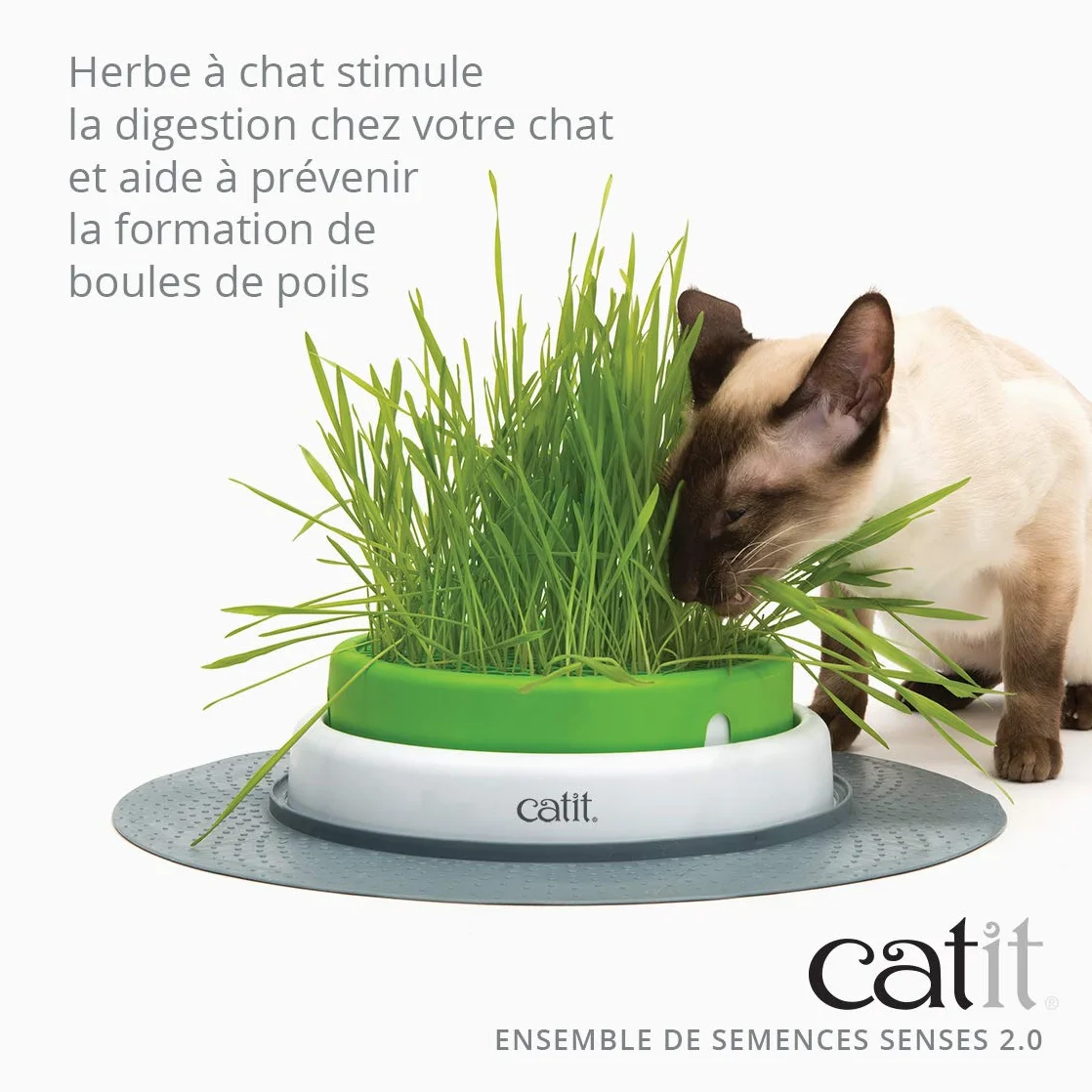 Catit Kit Herbe à Chat 3 Pièces
