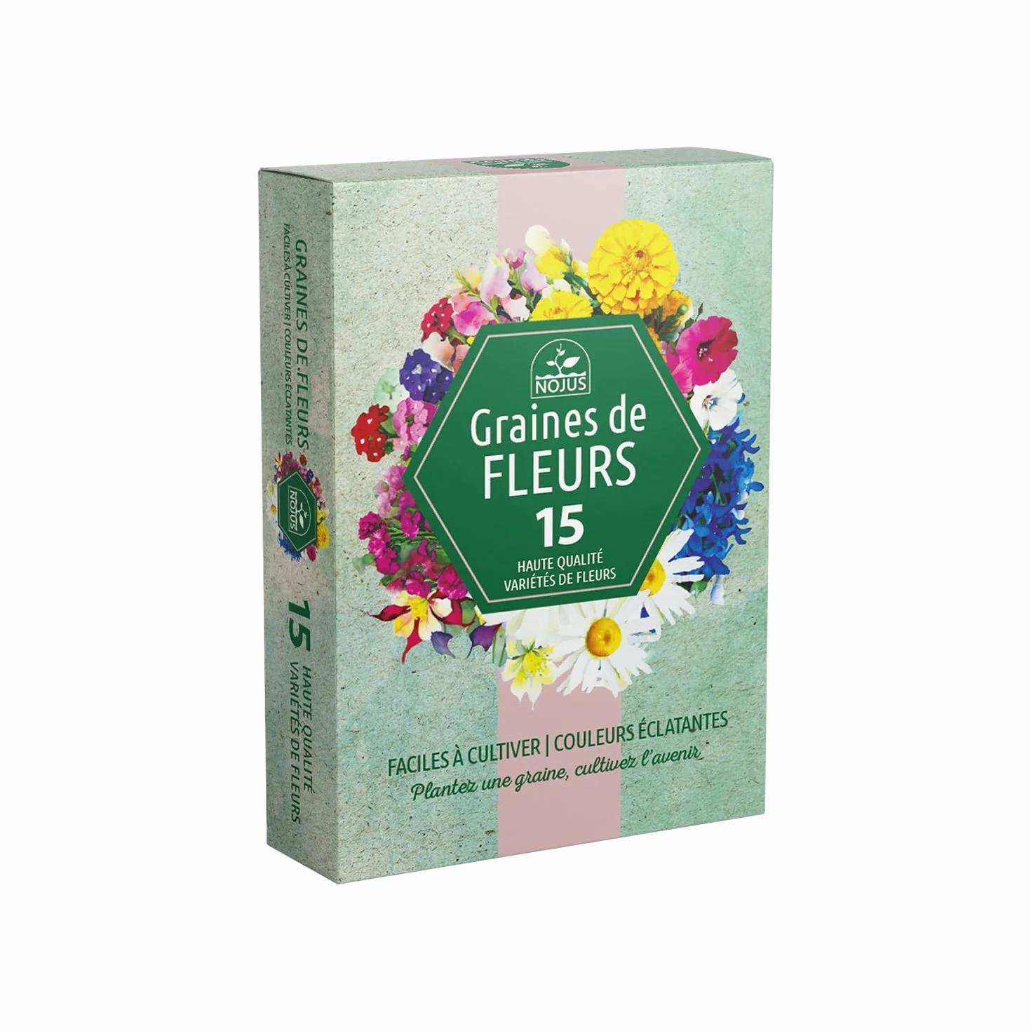 RHS Collection de graines de fleurs - 15 variétés de jardin respectueuses des abeilles